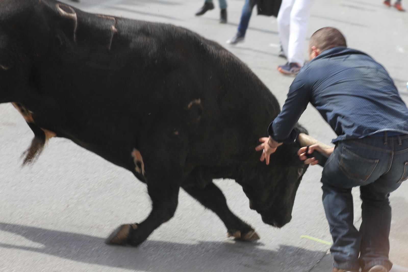 Toro Embolao en Vejer