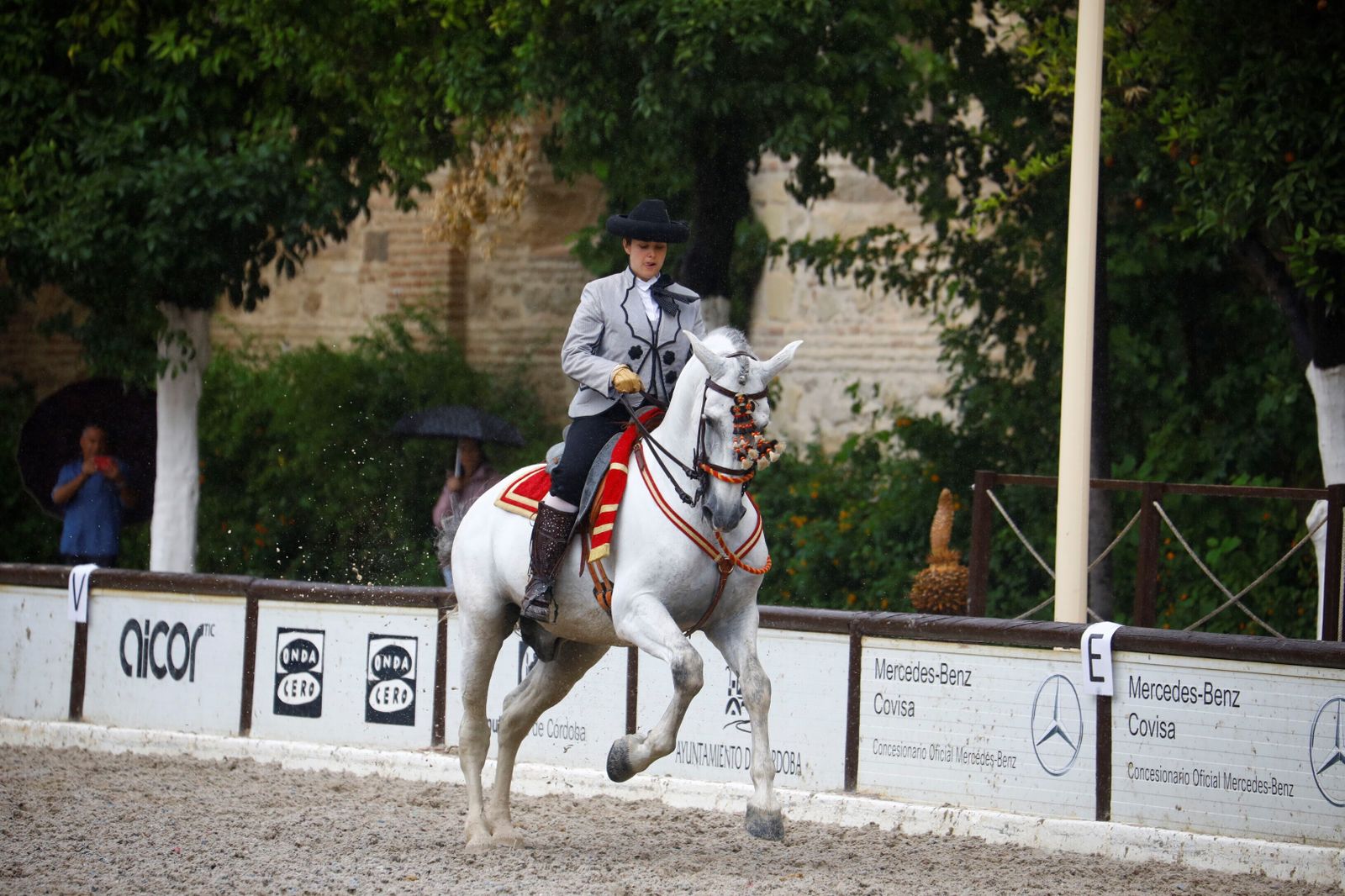 La celebración de la VI Copa de España de Alta Escuela en Córdoba, en imágenes