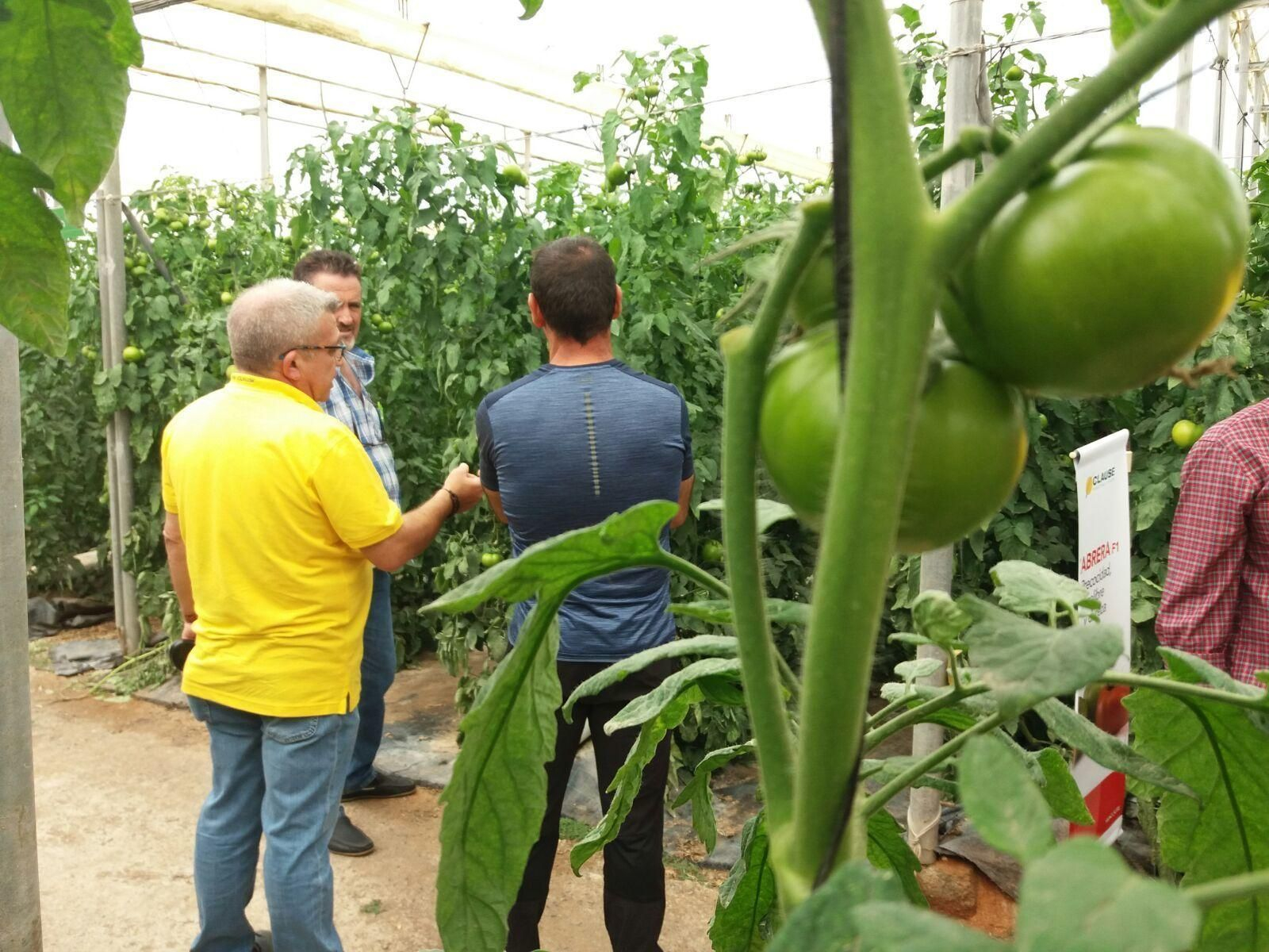 A las jornadas celebradas ayer por HM. Clause acudieron cerca de un centenar de agricultores.