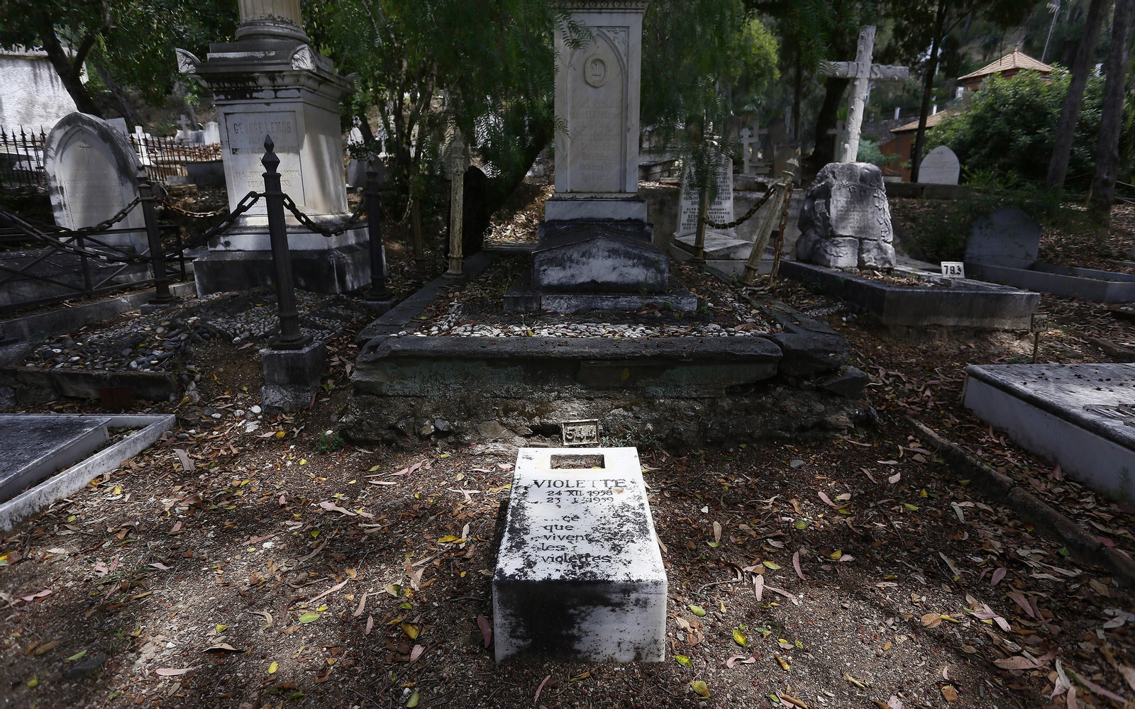 El cementerio Inglés de Málaga, en fotos