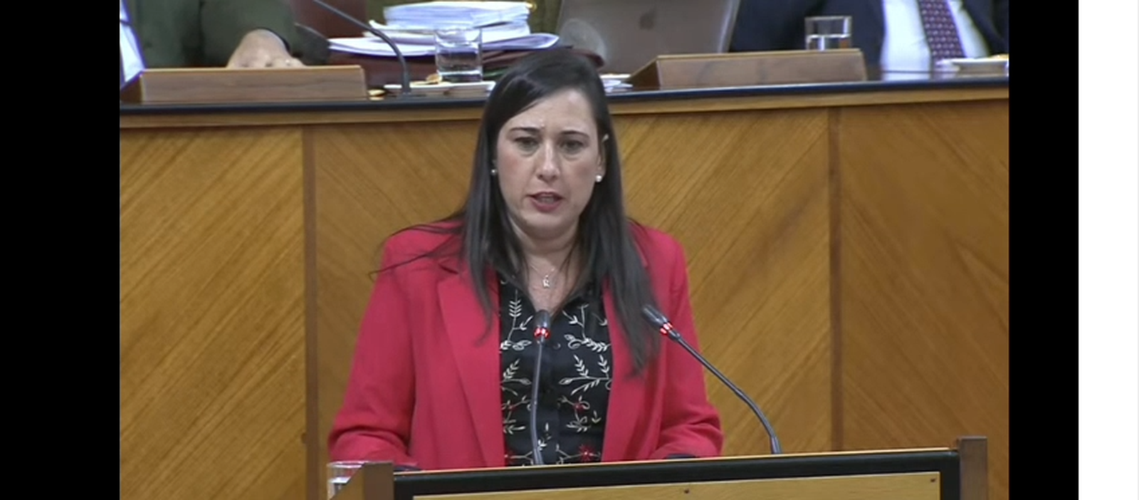 Intervención de Rocío Arrabal sobre José Ignacio Landaluce en el Parlamento de Andalucía