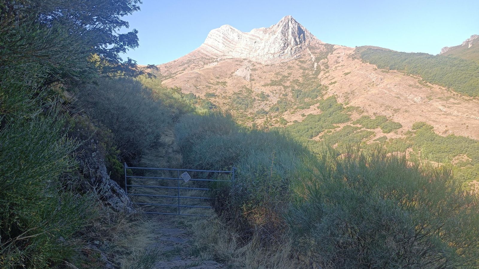 La Peña Galicia. La Peña Galicia.
