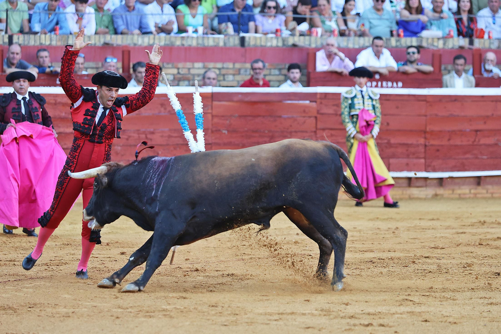 Toros La Merced 2024 Novillada con picadores(