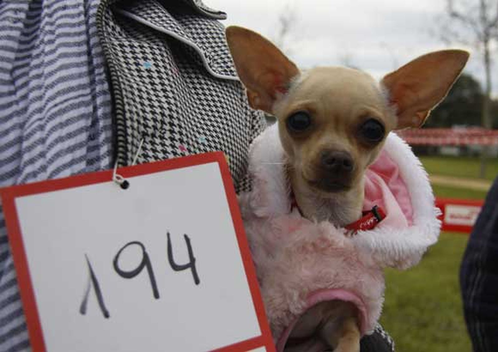 Celebración del día de San Antón en Chiclana

Foto: Sonia Ramos