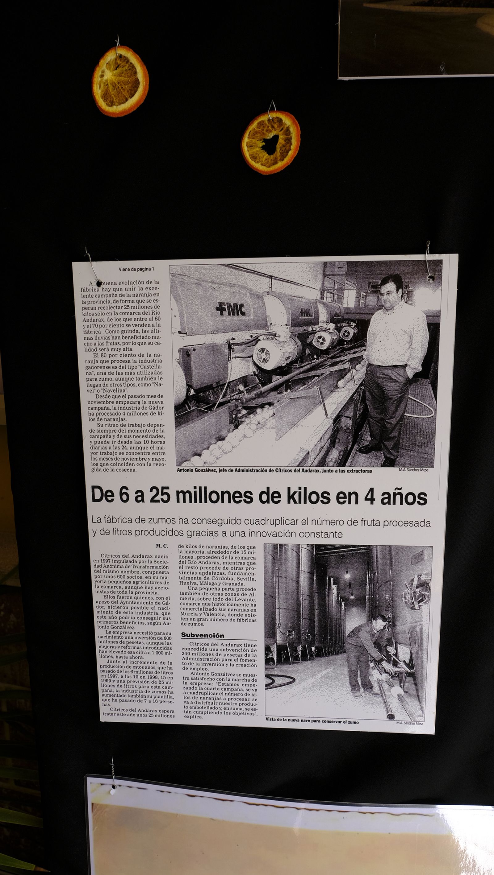 El Día de la Naranja en Gádor, en imágenes