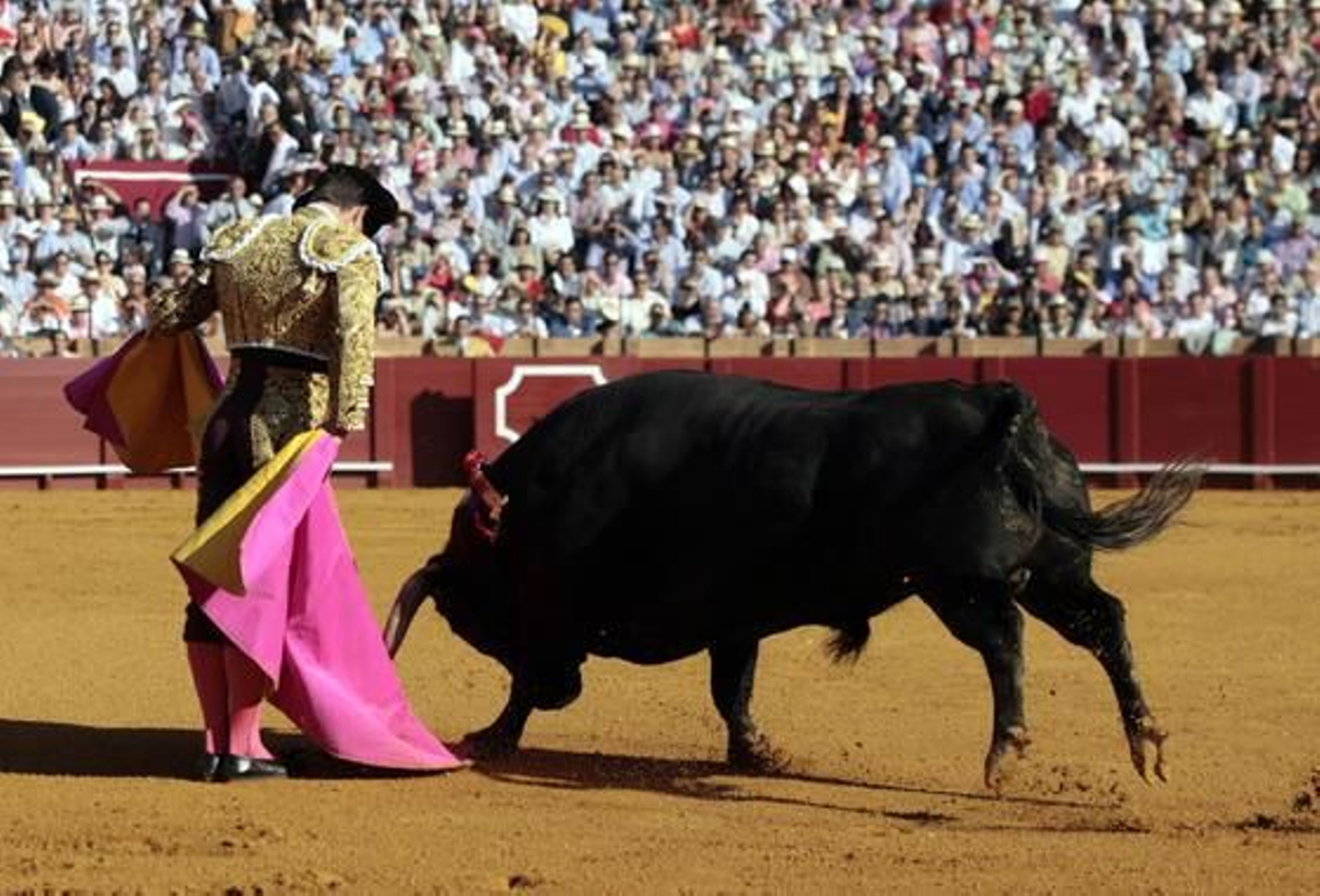 El Juli con el primero de la tarde en la treceava del abono de La Maestranza.

Foto: Juan Carlos Muñoz