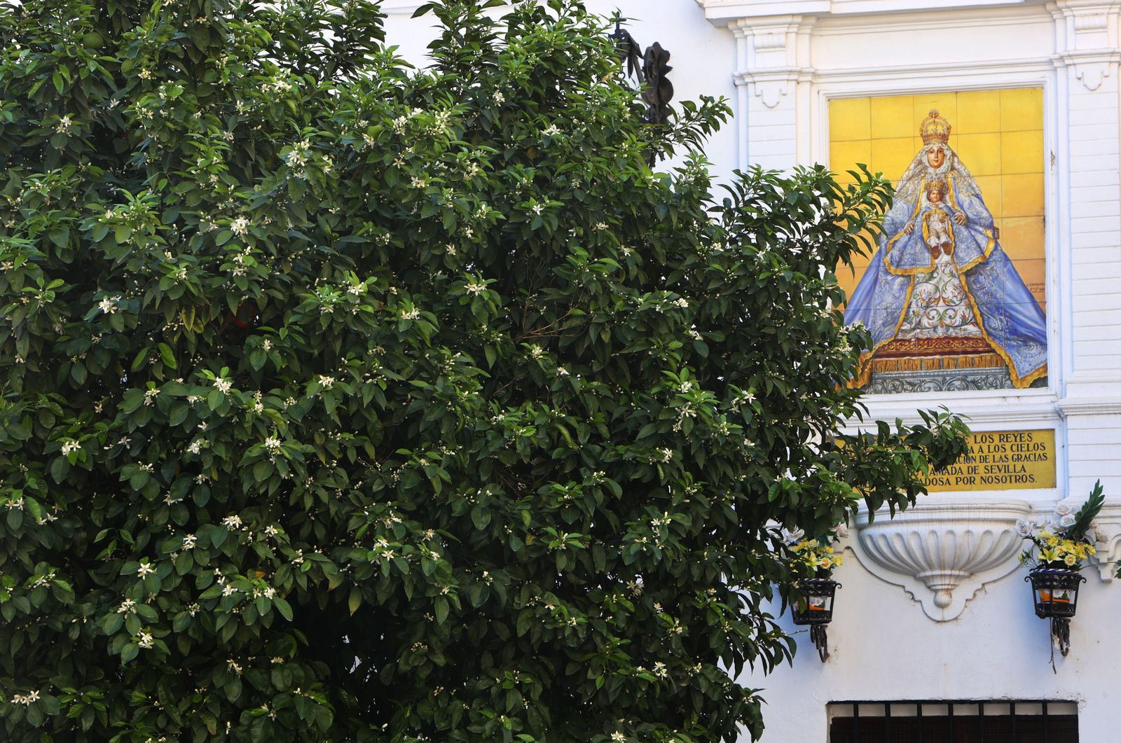 Comienzo de la primavera en Sevilla