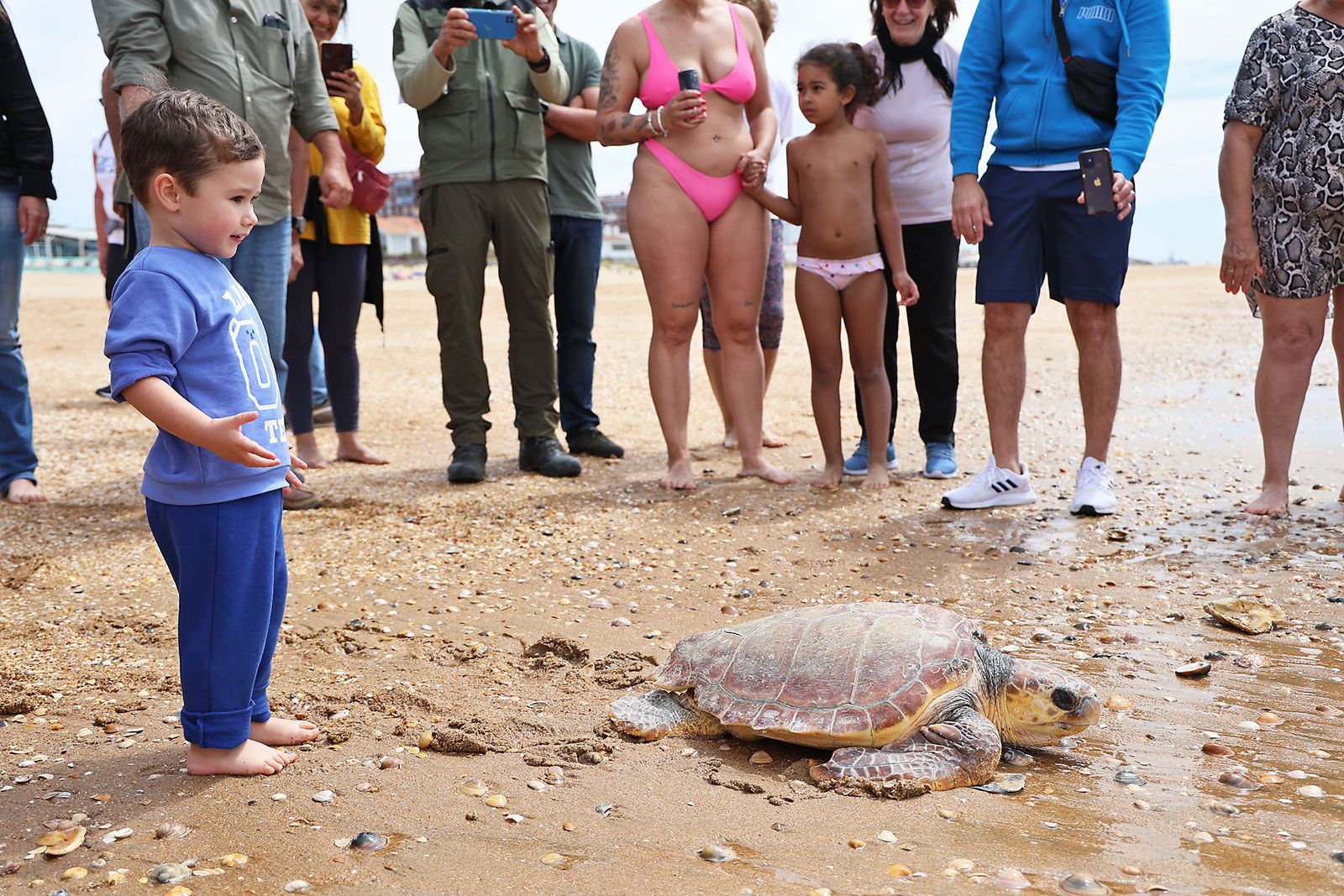 Imágenes de la suelta de una tortuga marina boba recuperada en el CEGMA de Algeciras