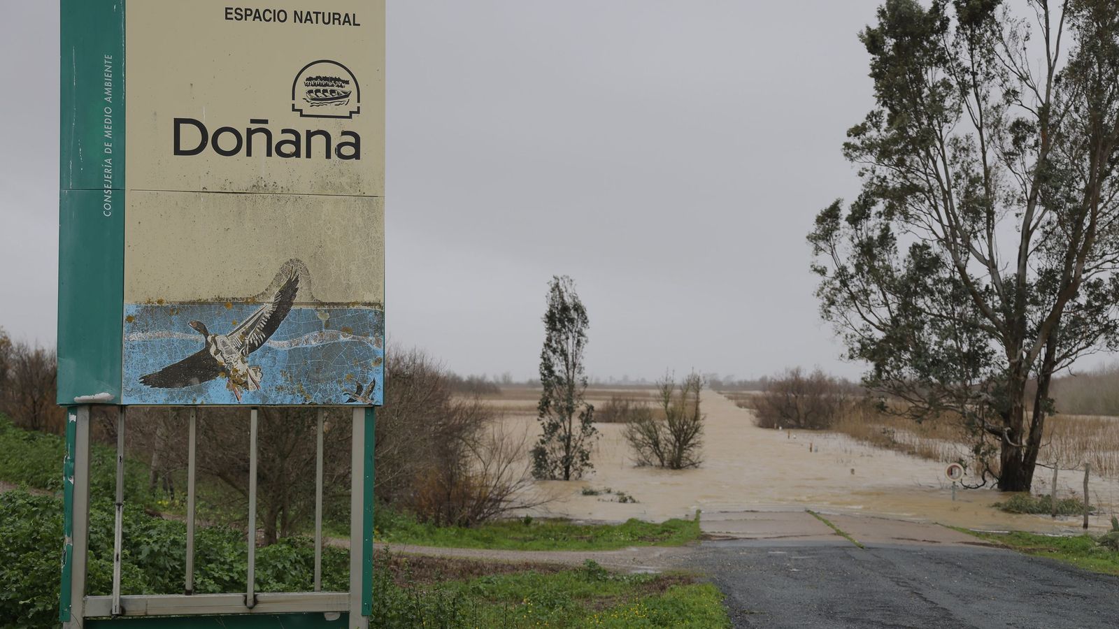 El vado de Don Simón, en Doñana.