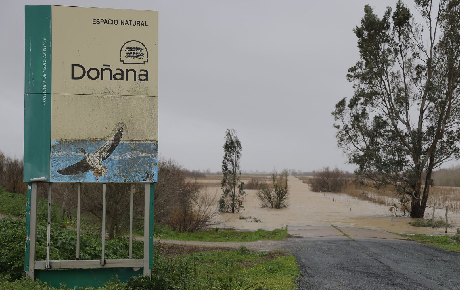 Estas son las principales incidencias que ha dejado la borrasca Leonardo en Andalucía hasta el momento