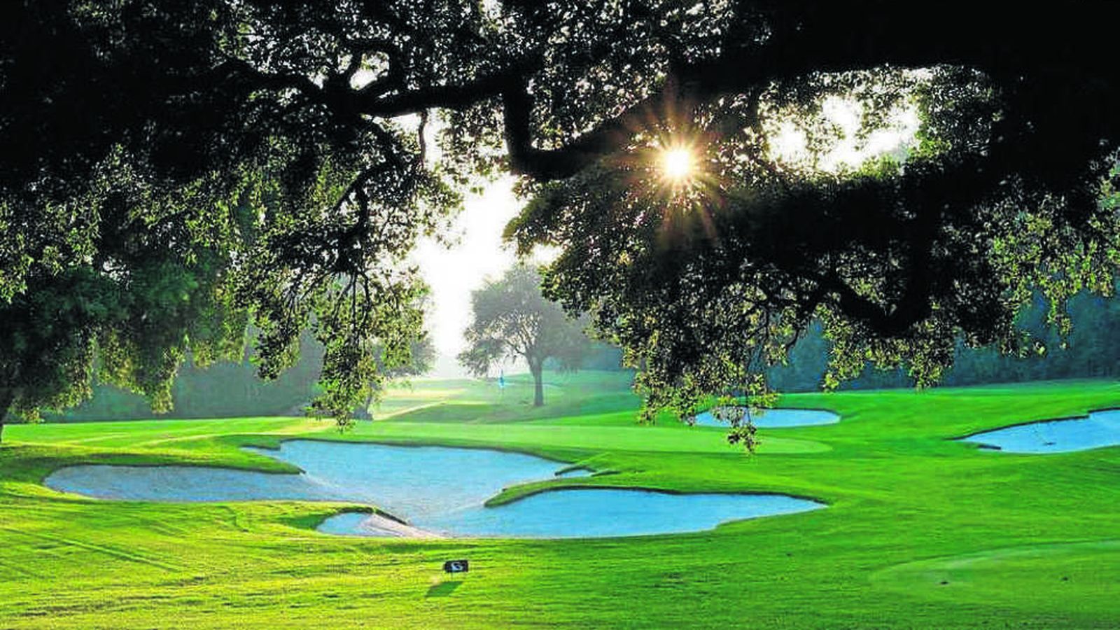 Campo de golf de Sotogrande.