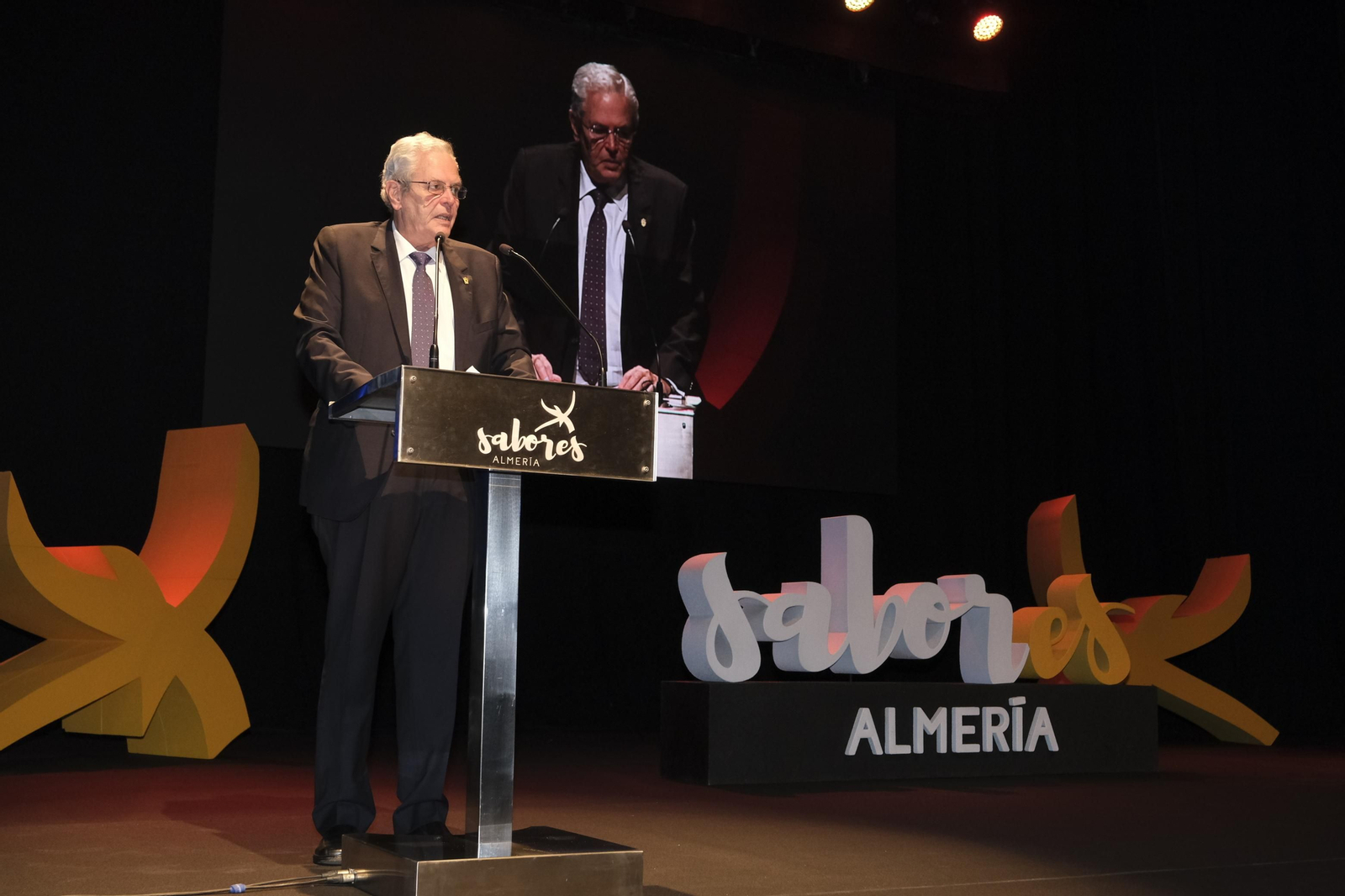 Imágenes de la II Gala Sabores Almería con David Bisbal. Vera