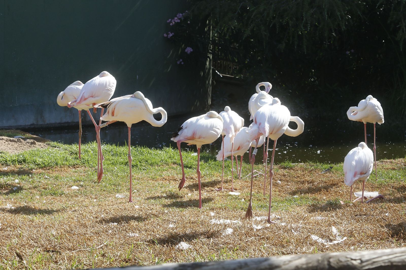 Las fotografías de la reapertura del Zoo de Córdoba tras el coronavirus