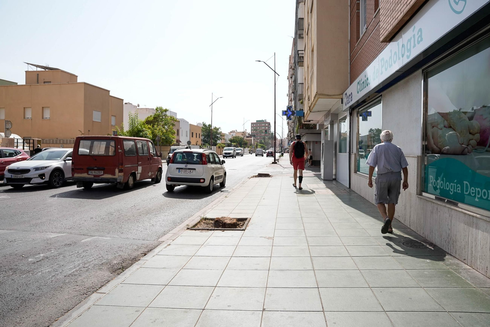 Completan la tala de palmeras de la avenida Cabo de Gata