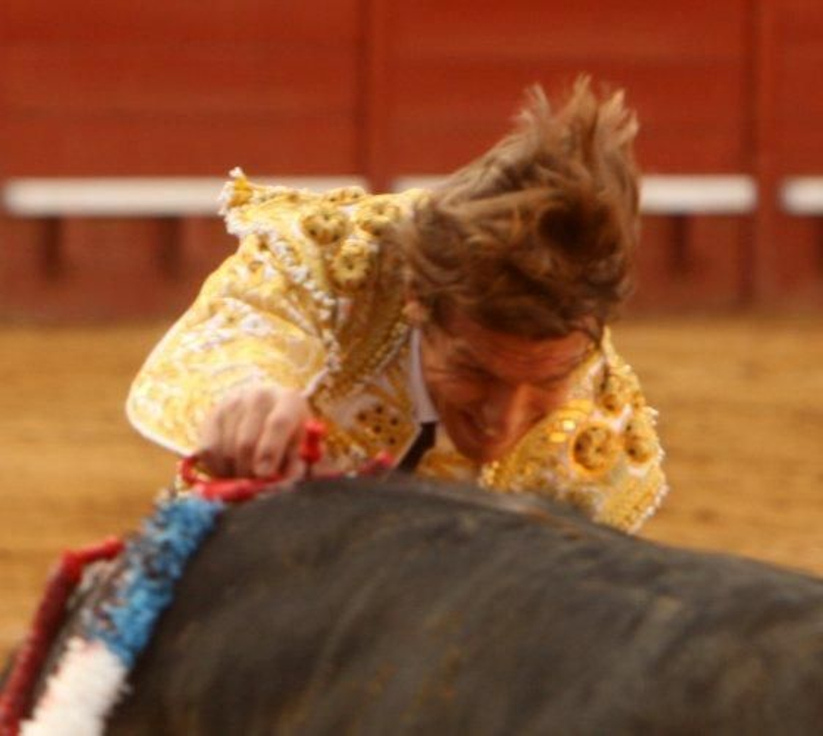 El debut de El Cordobés,  que hacía por vez primera el paseíllo en Jerez con unos cuantos trienios de profesional, se quedó en eso, en el paseíllo.

Foto: Juan Carlos Toro