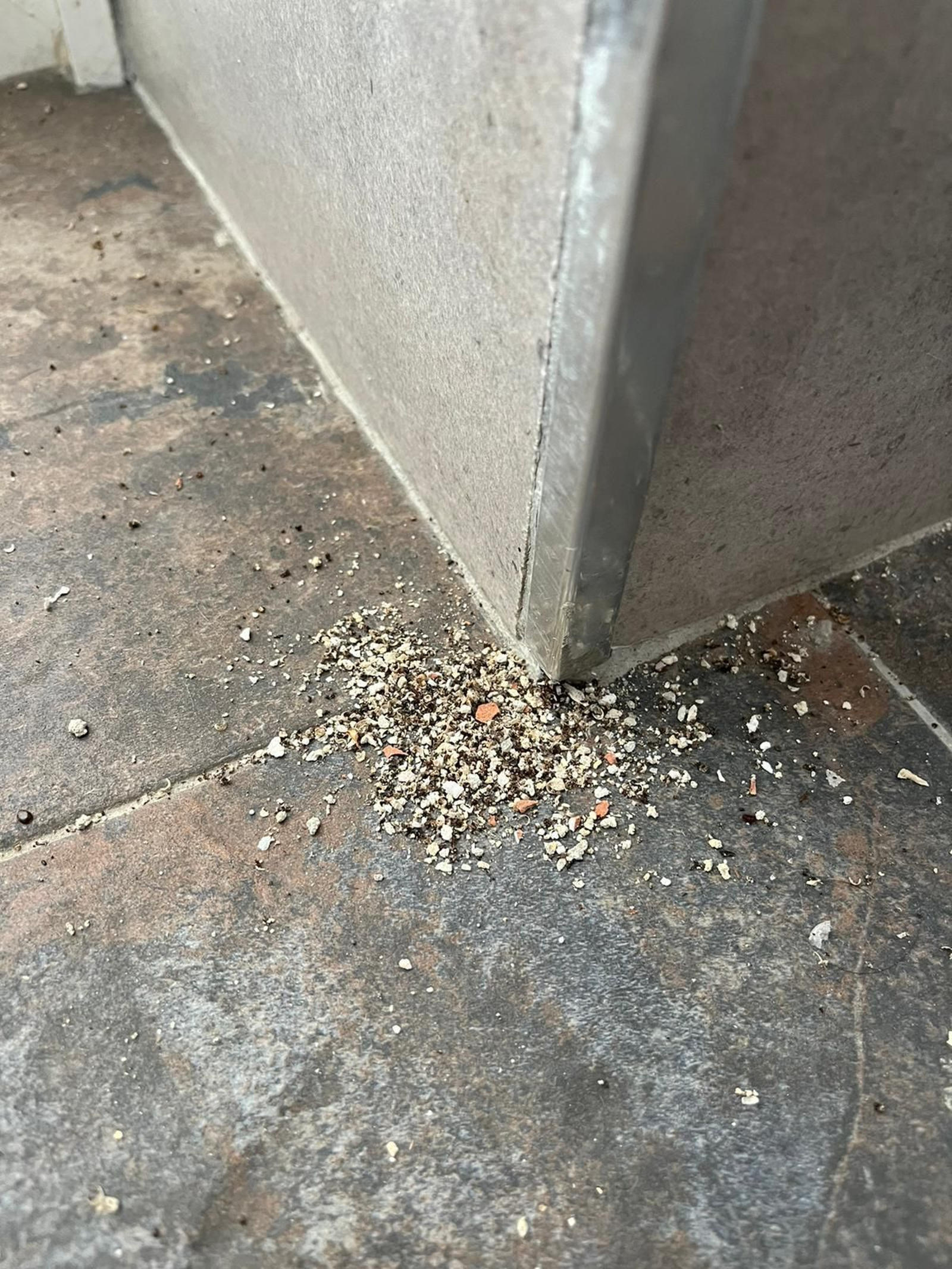 Imágenes del estado de deterioro de Puerto América, en Cádiz