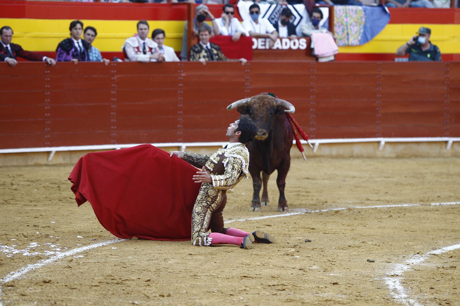 Fotogalería corrida de toros. Cayetano Rivera, Paco Ureña y Roca Rey. Roquetas de Mar.