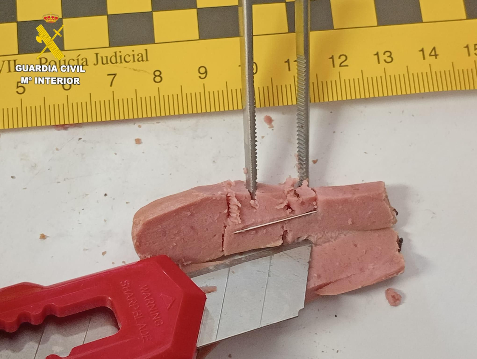 Trozo del salchicha con alfileres.