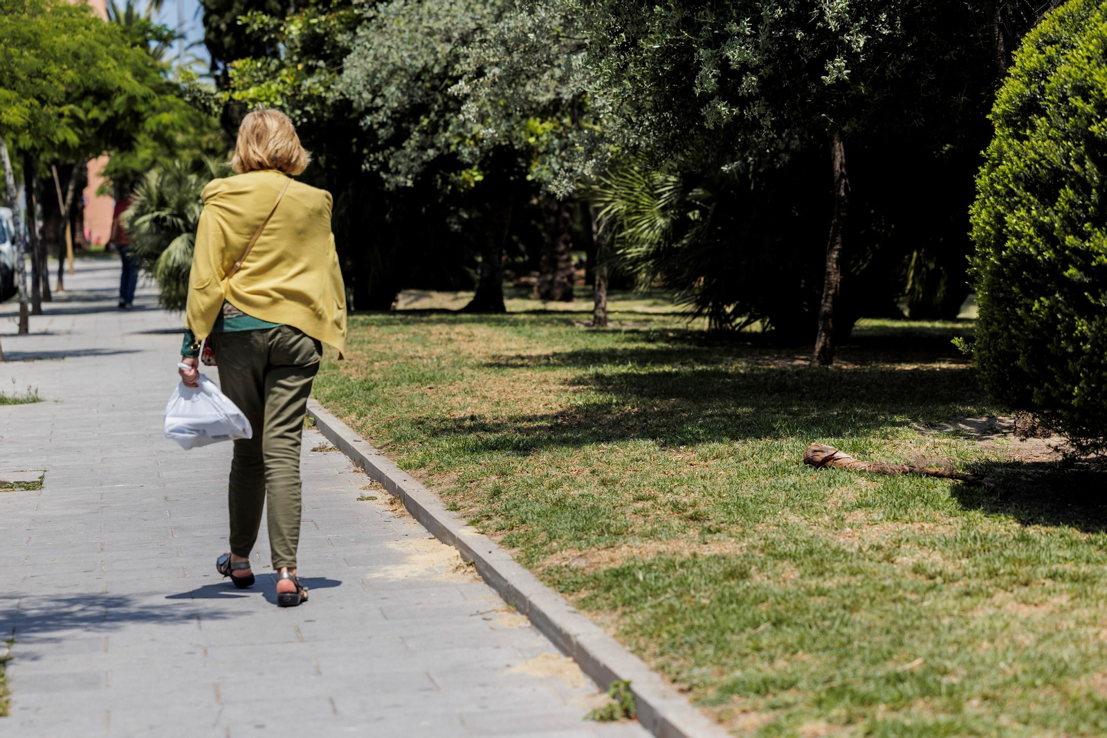 Las zonas verdes menos verdes de la ciudad de Cádiz