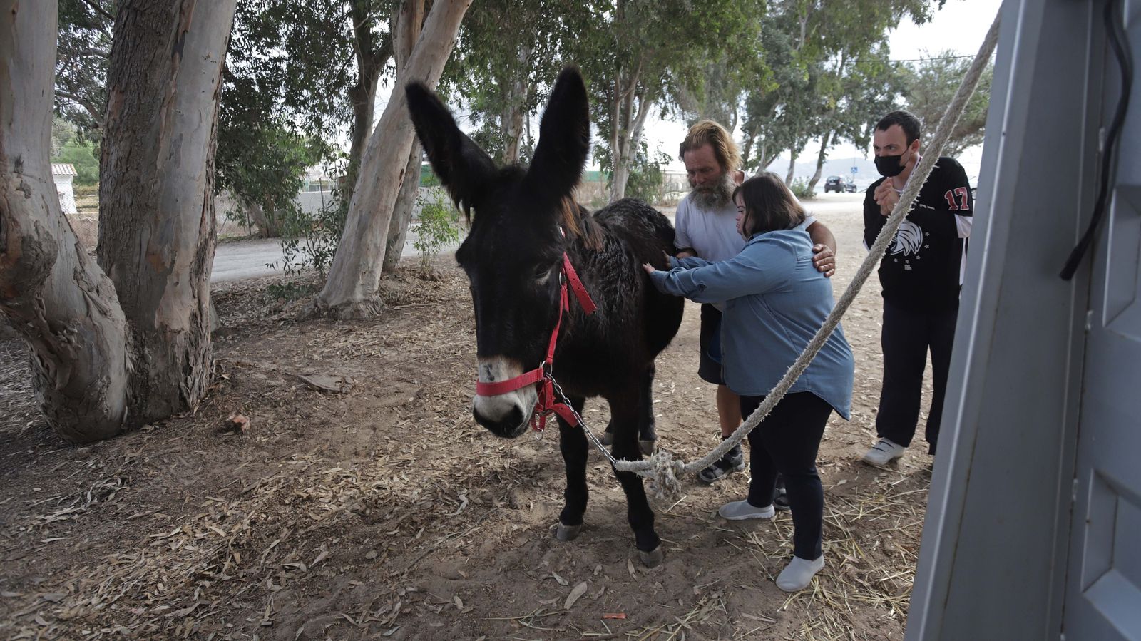 Sesión  de burroterapia con usuarios de Asansull en Palmones