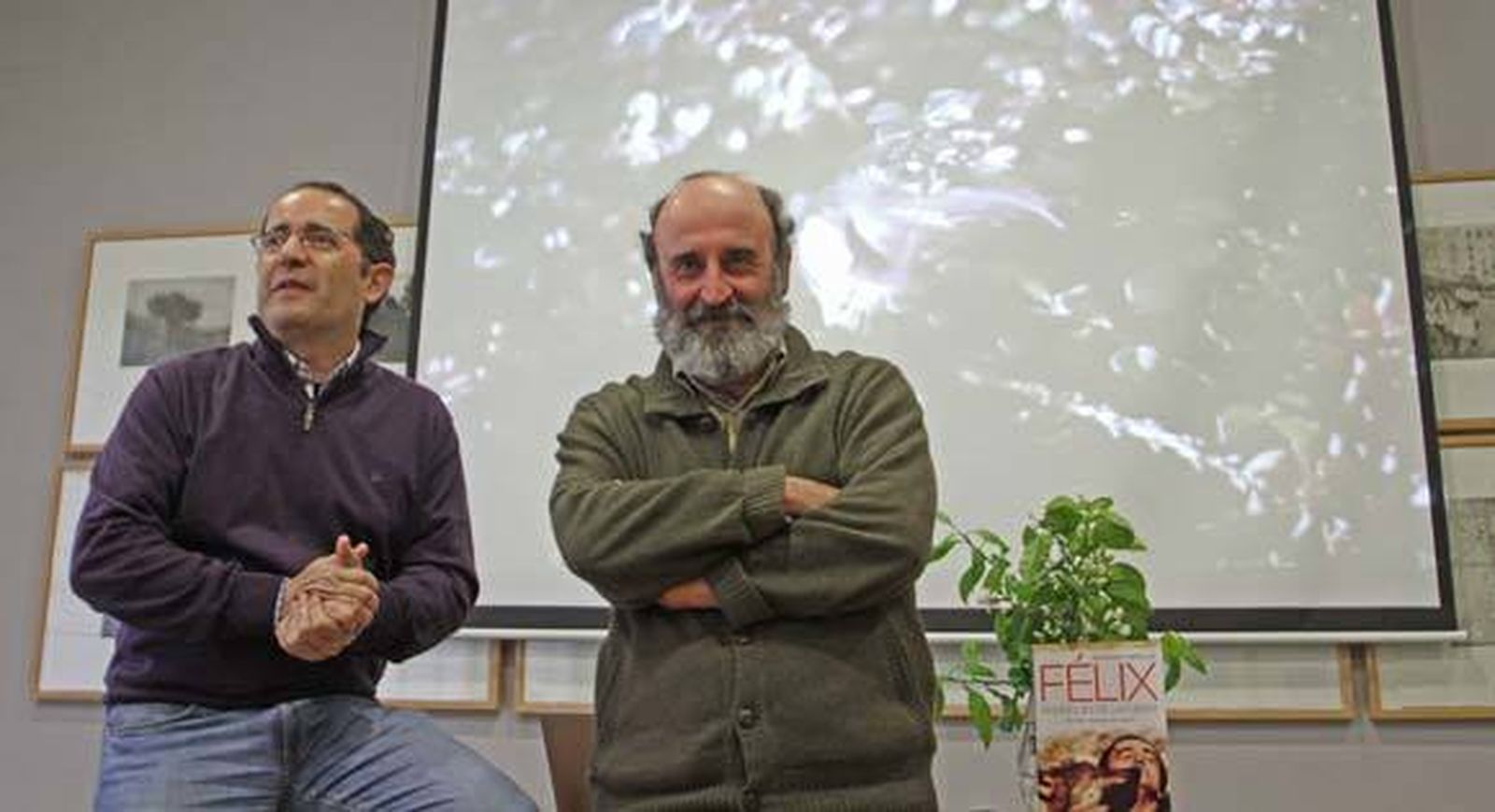 Vuelo en halcón peregrino de Félix Rodríguez de la Fuente