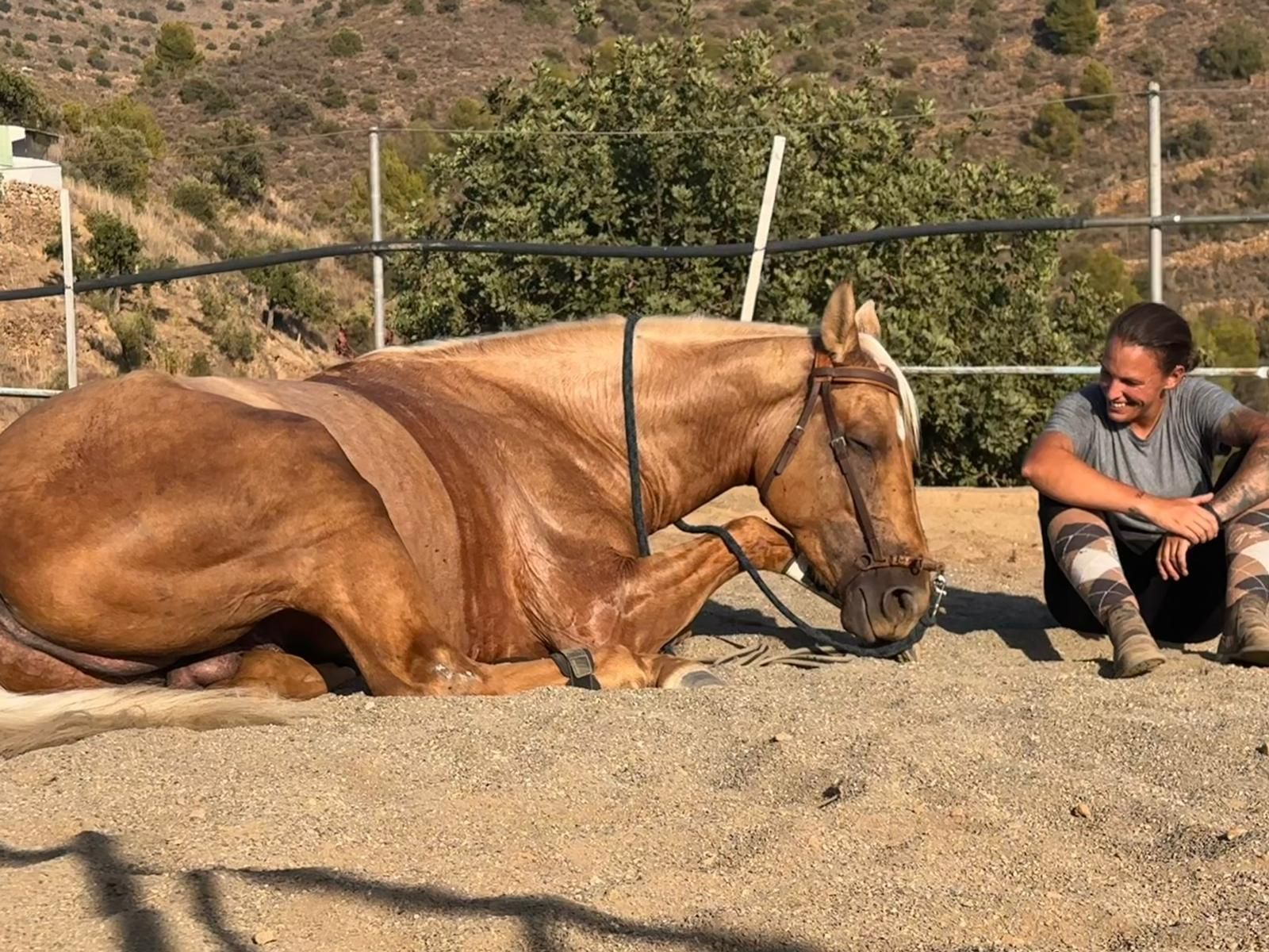 María Gálvez con uno de sus caballos