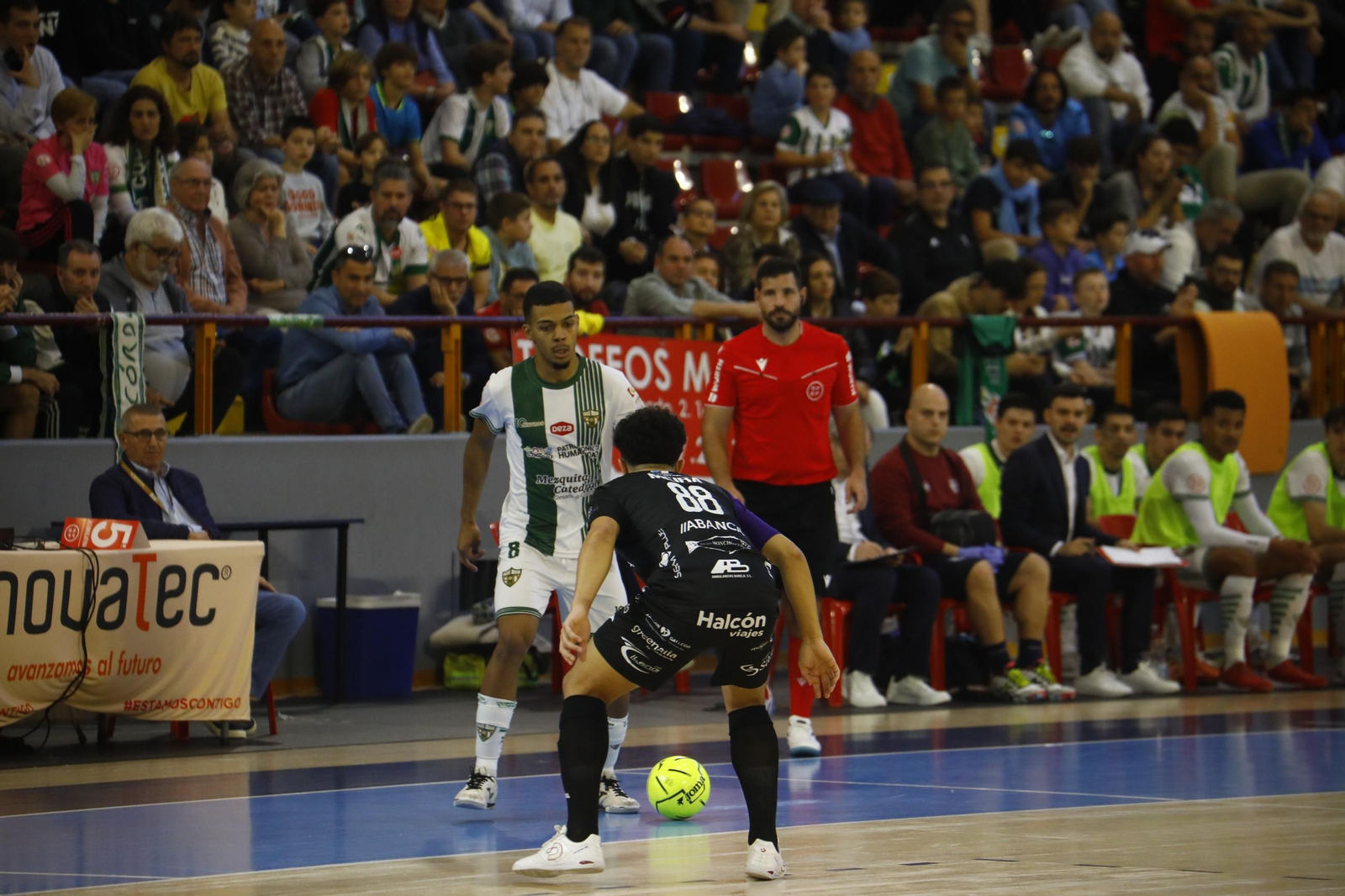 Las mejores fotos del Córdoba Futsal - Burela disputado en Vista Alegre
