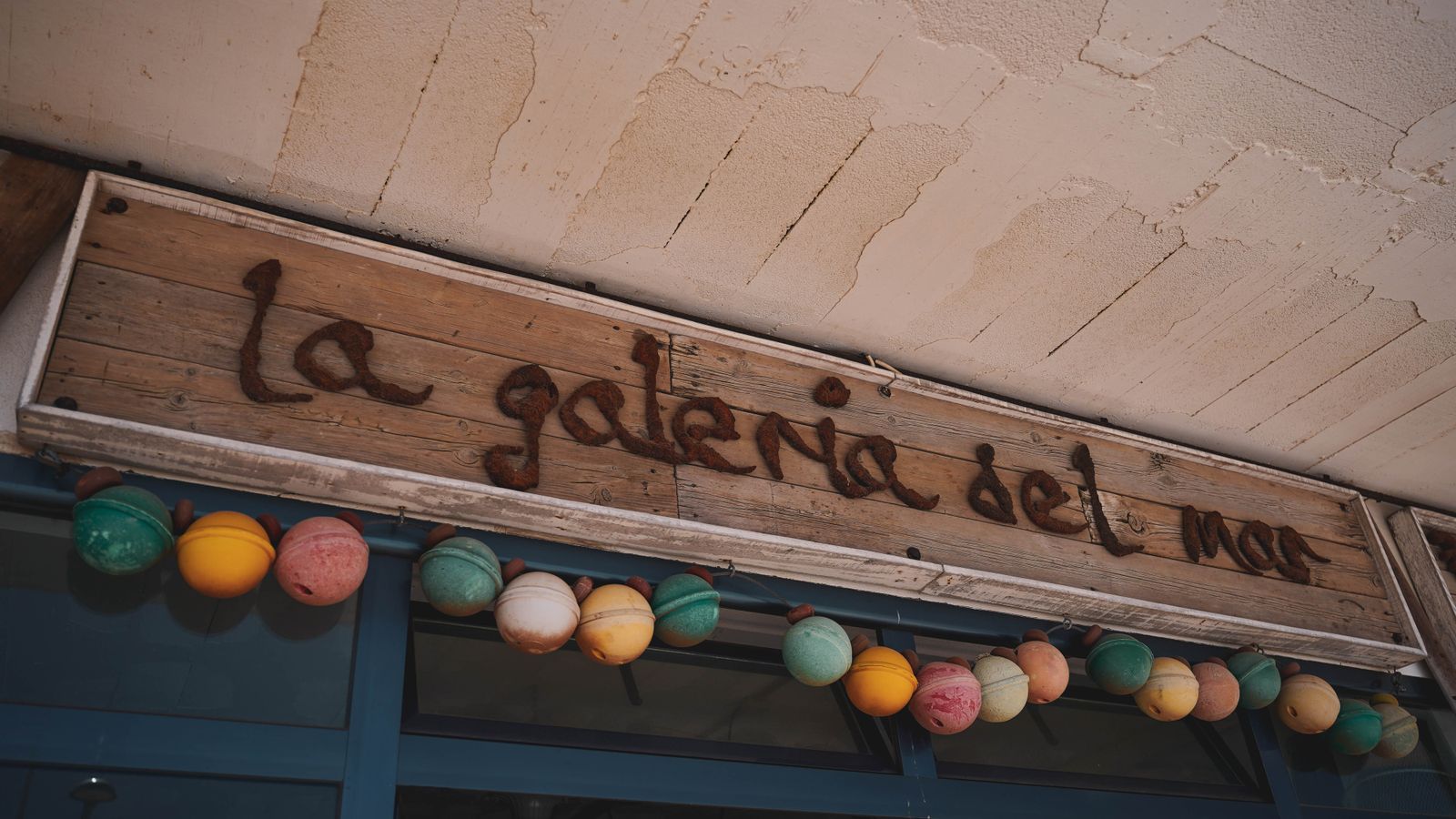 Tarifa Respira una asociación dedicada a la conservación y protección de Tarifa y sus alrededores