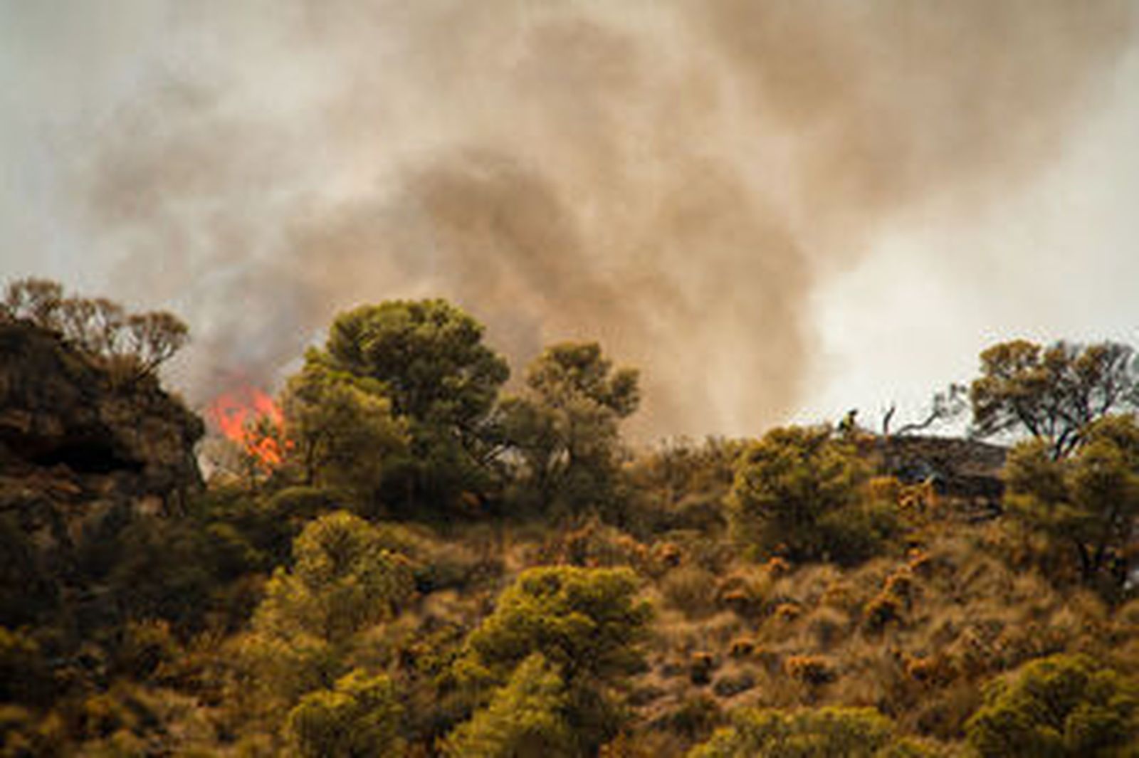 Casi 300 efectivos para estabilizar el incendio de Los Guájares