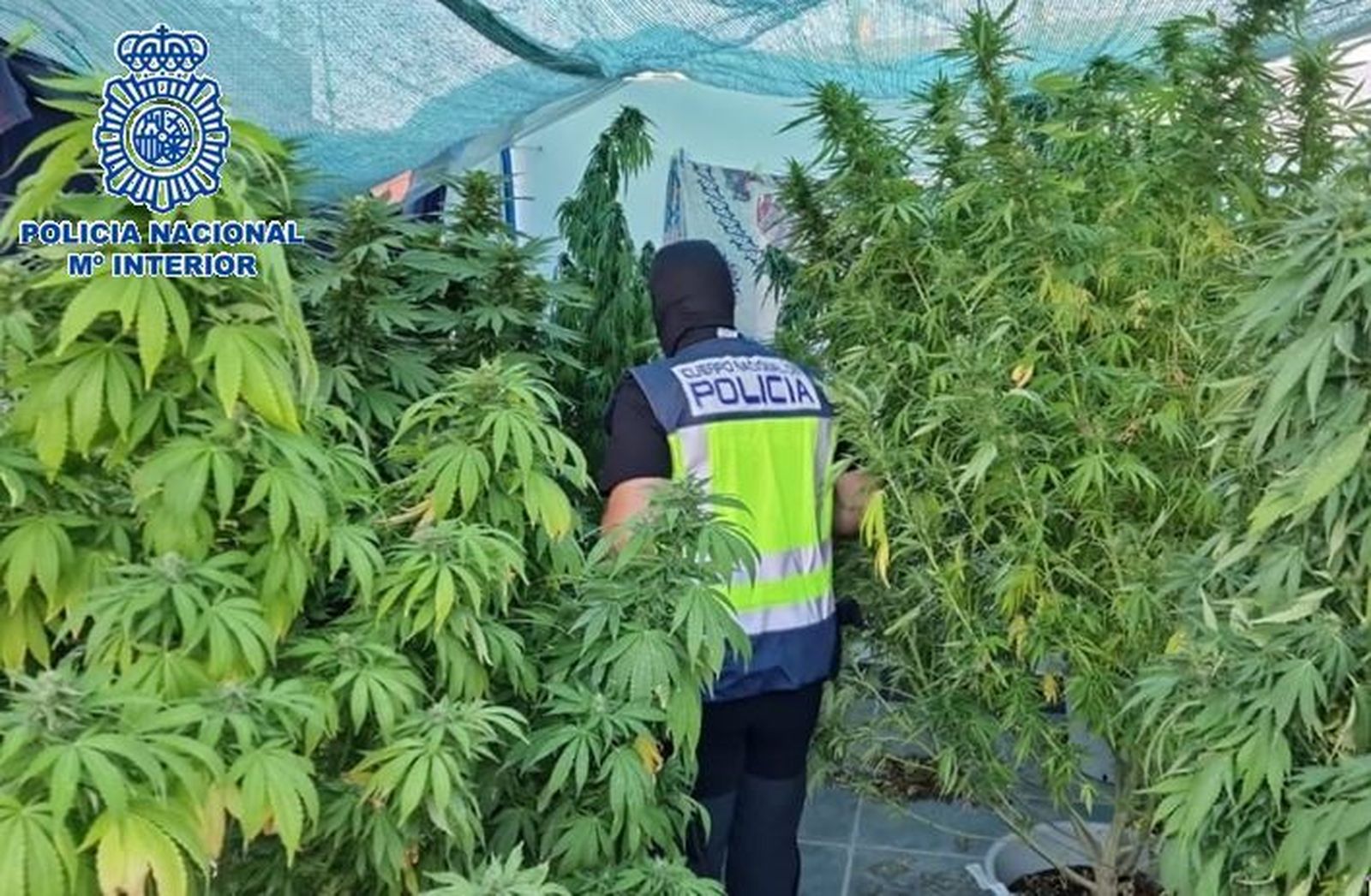 Un momento de la intervención policial en la vivienda de la Bajadilla.