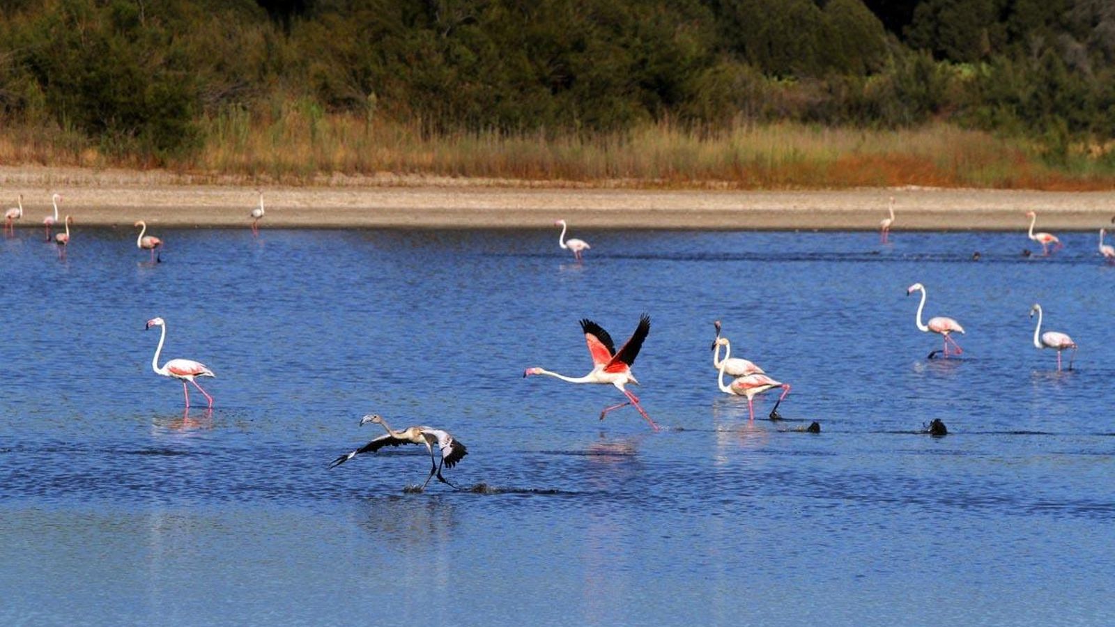 Sendero en la Laguna del Río Piedras