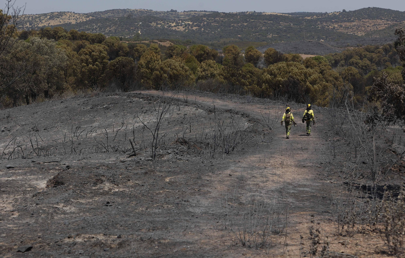 Los efectos del incendio en el Ronquillo en imágenes