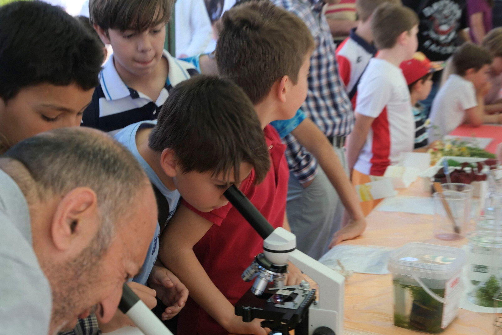 El Paseo por la Ciencia de Córdoba, en imágenes