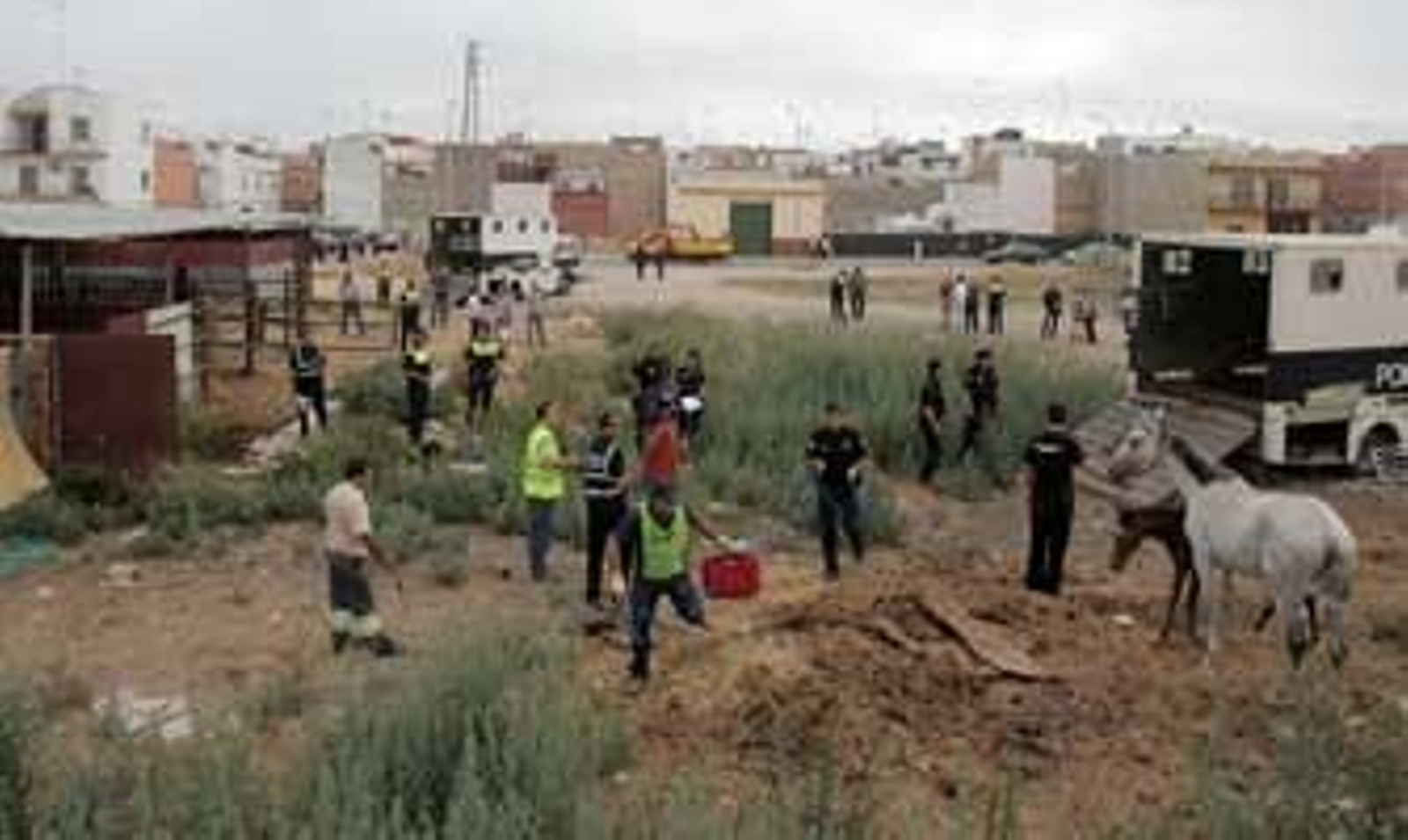 Desmantelan las caballerizas ilegales de Padre Pío