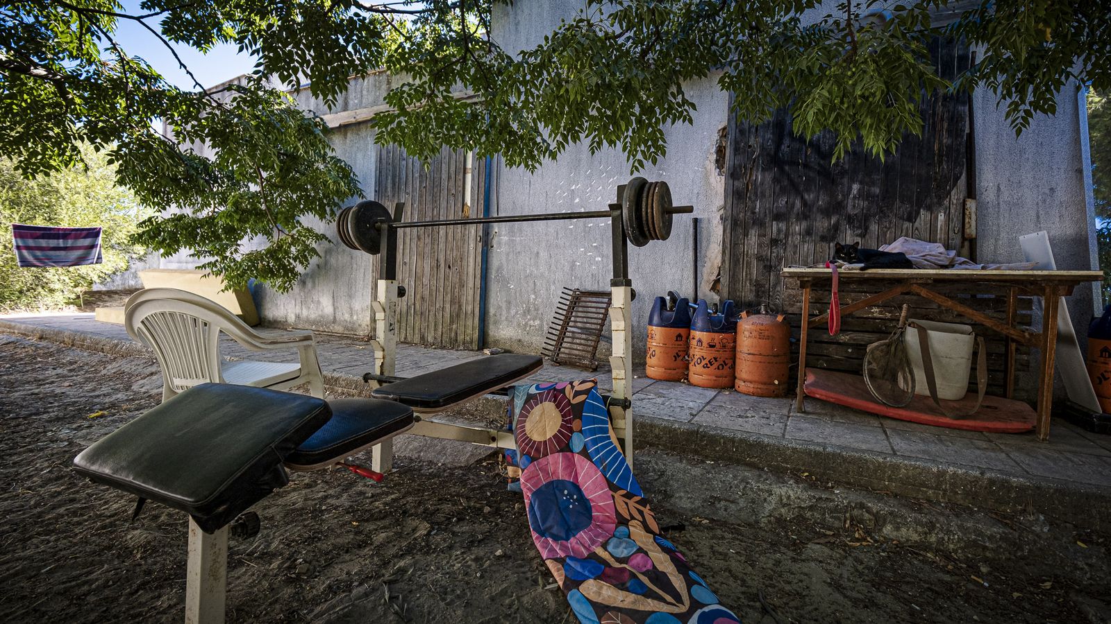 Las imágenes actuales del estado de abandono del antiguo campamento La Forestal en Rota