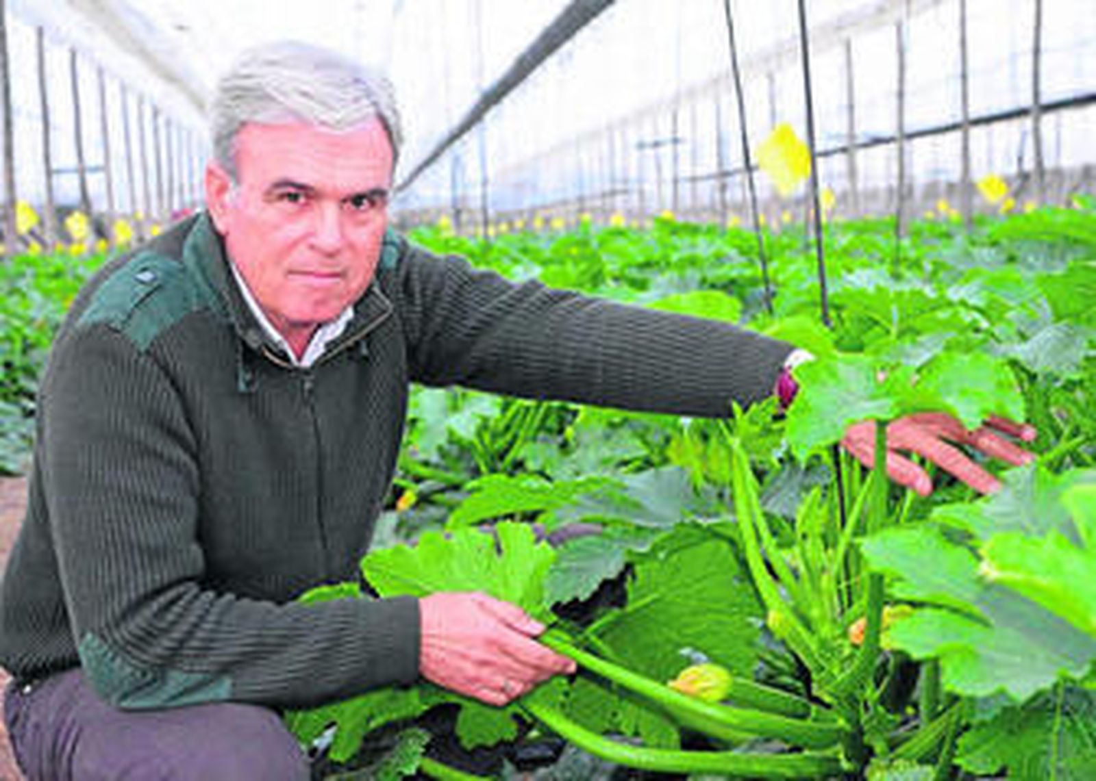 El almeriense José Marín Rodríguez, autor de Portagrano, el vademécum de semillas de la horticultura.