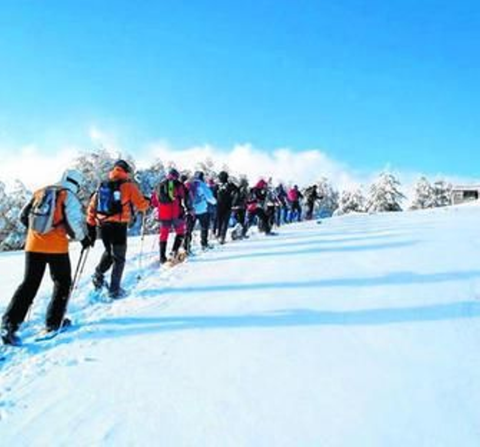 actividad de raquetas en la nieve, que proponen para este domingo.