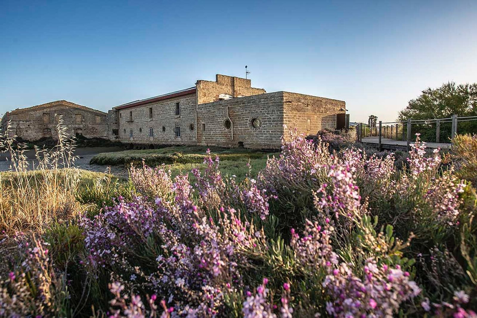 Aponiente (El Puerto) / Tres Soles