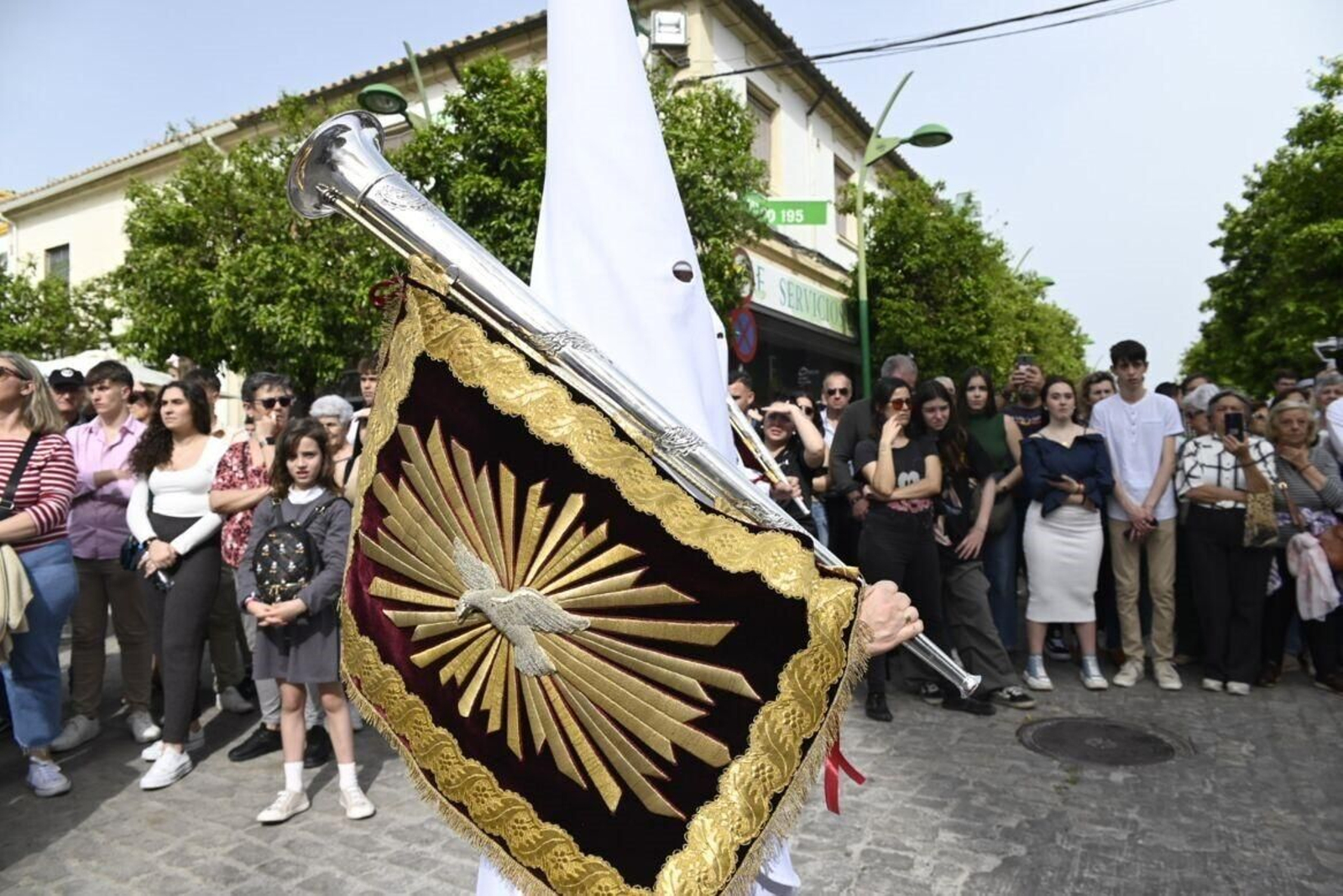 La procesión de la Presentación al Pueblo de Córdoba, en imágenes