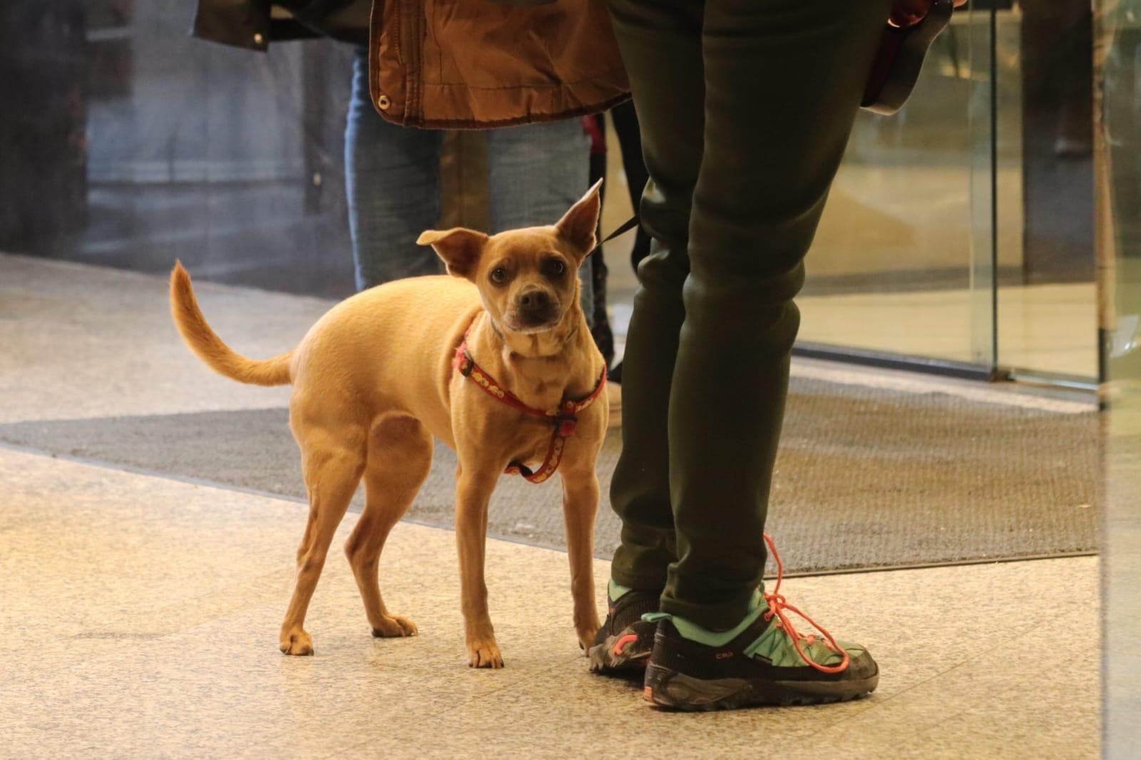 WhatsApp Image 2026-02-05 at 12.26.49