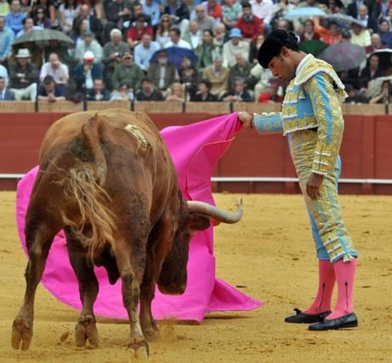 Luis Bolívar, en una verónica bien dibujada al segundo toro.

Foto: Manuel Gómez