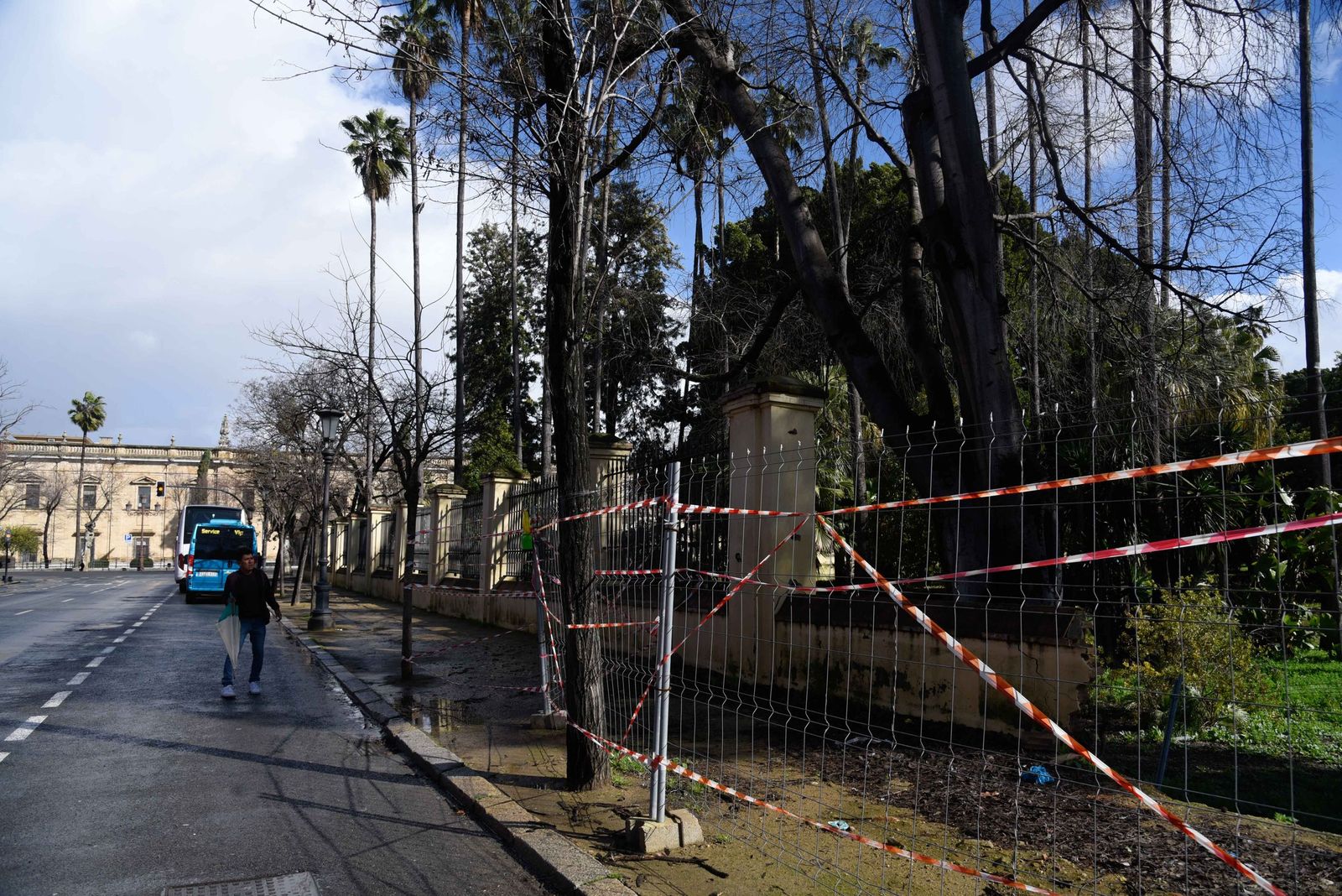 Fotografías del entorno del Teatro Lope de Vega