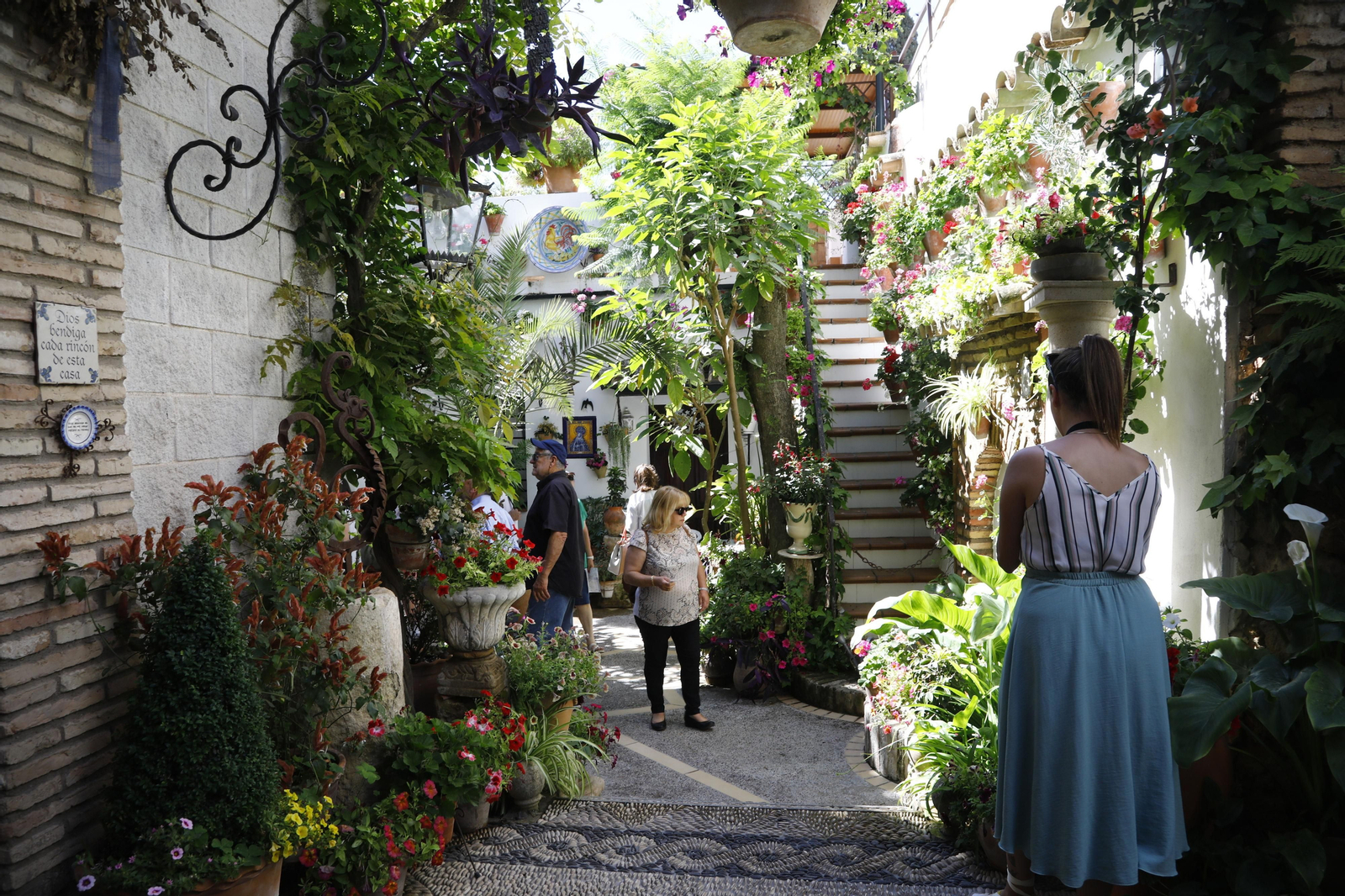 Los Patios de Córdoba se preparan para el fin de semana, en imágenes