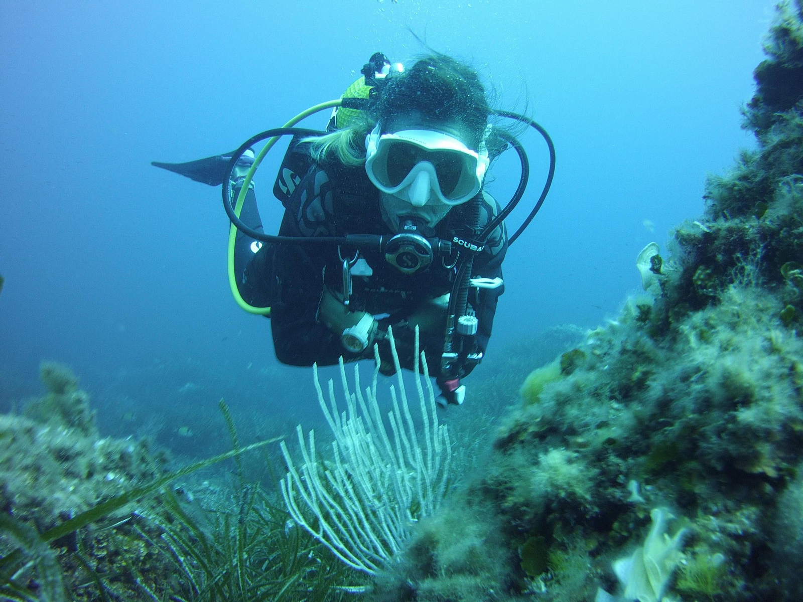 Reserva marina de la Costa Norte de Menorca, Es Mercadal