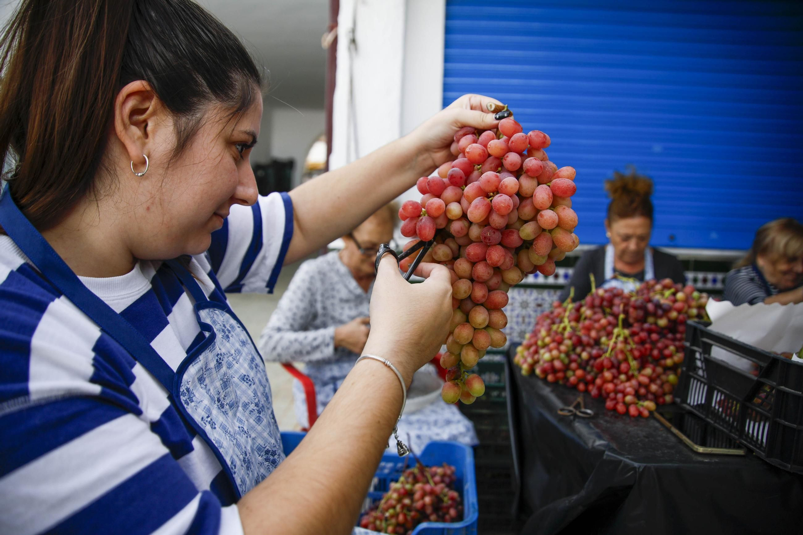 La tradicional faena de la uva de Canjayar, en imágenes