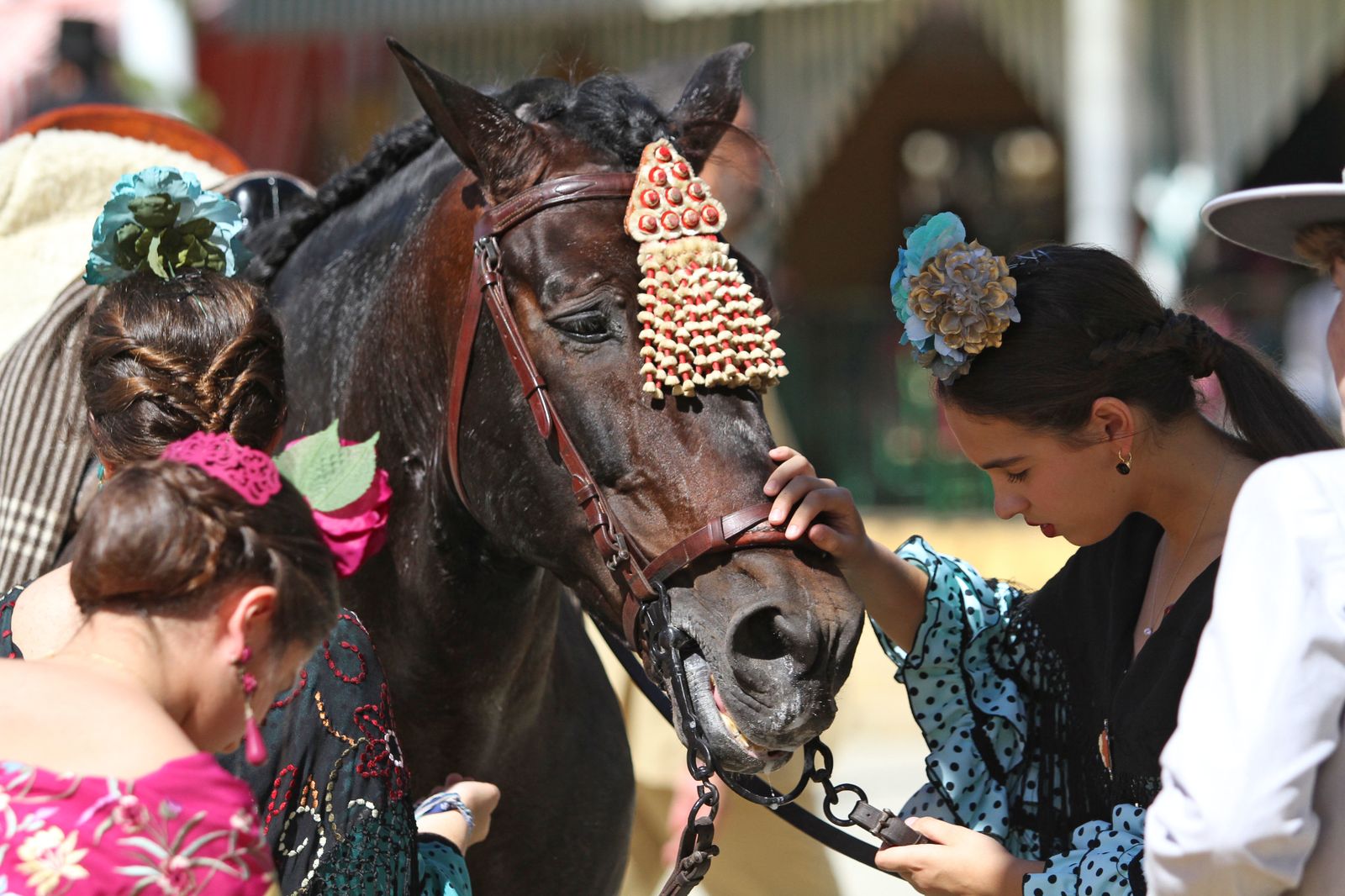El Miércoles de Feria, en imágenes