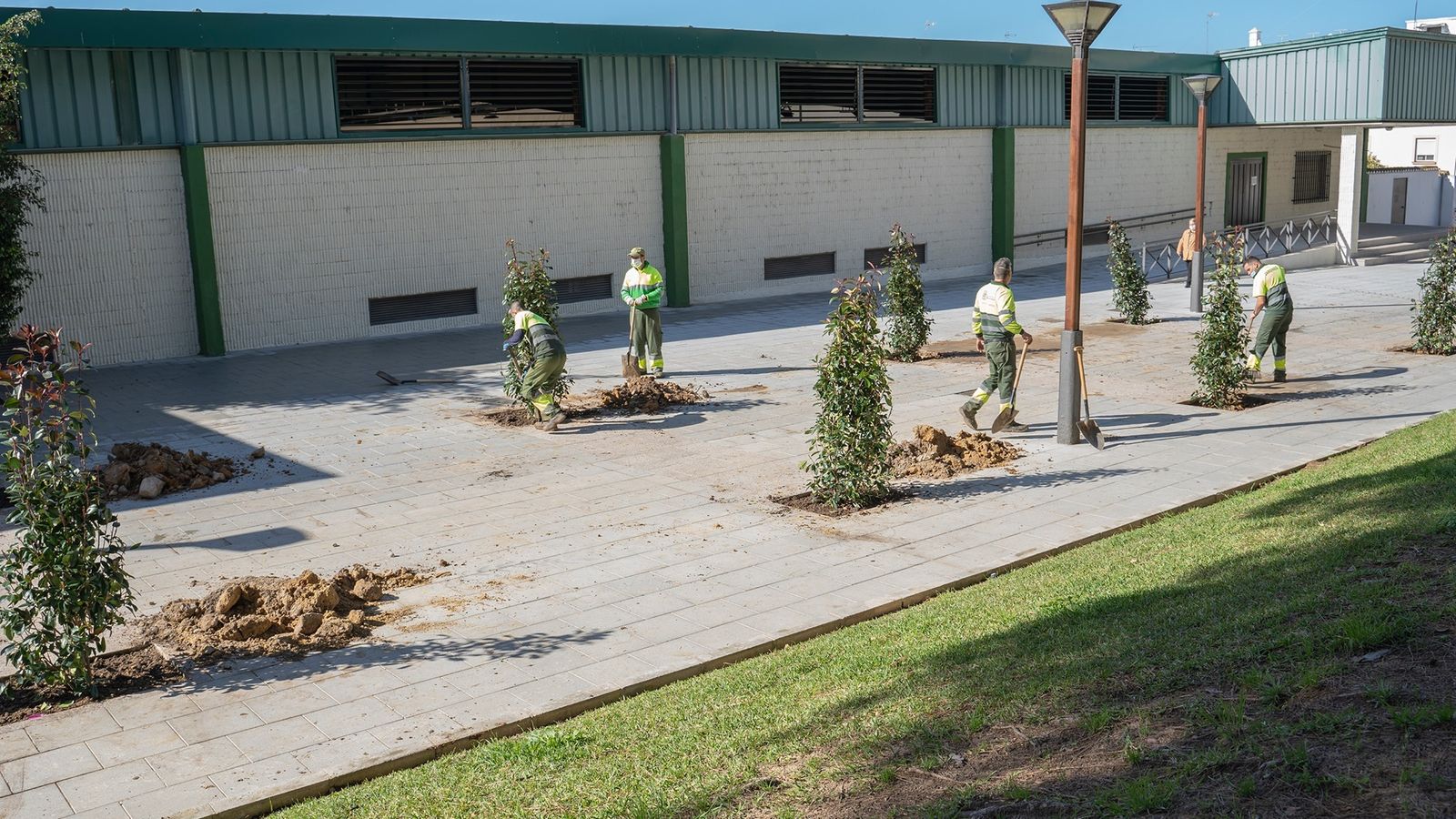 Plantación de los arbustos por parte de los operarios de servicios y jardines.