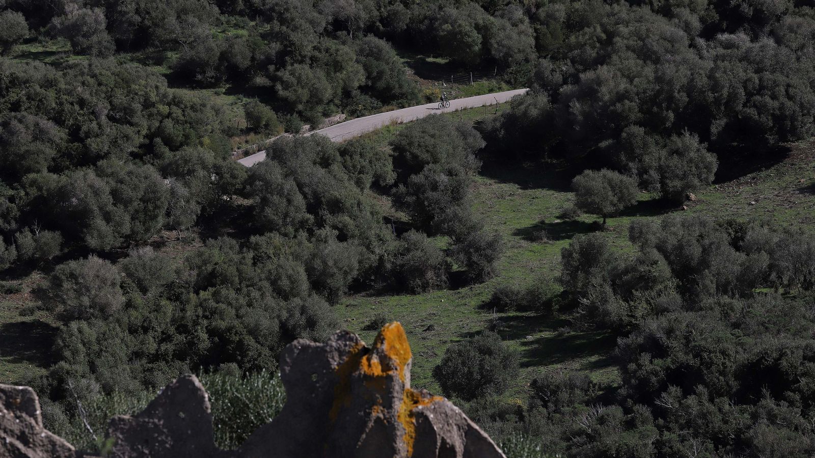 Carretera de Las Pantallas en Algeciras