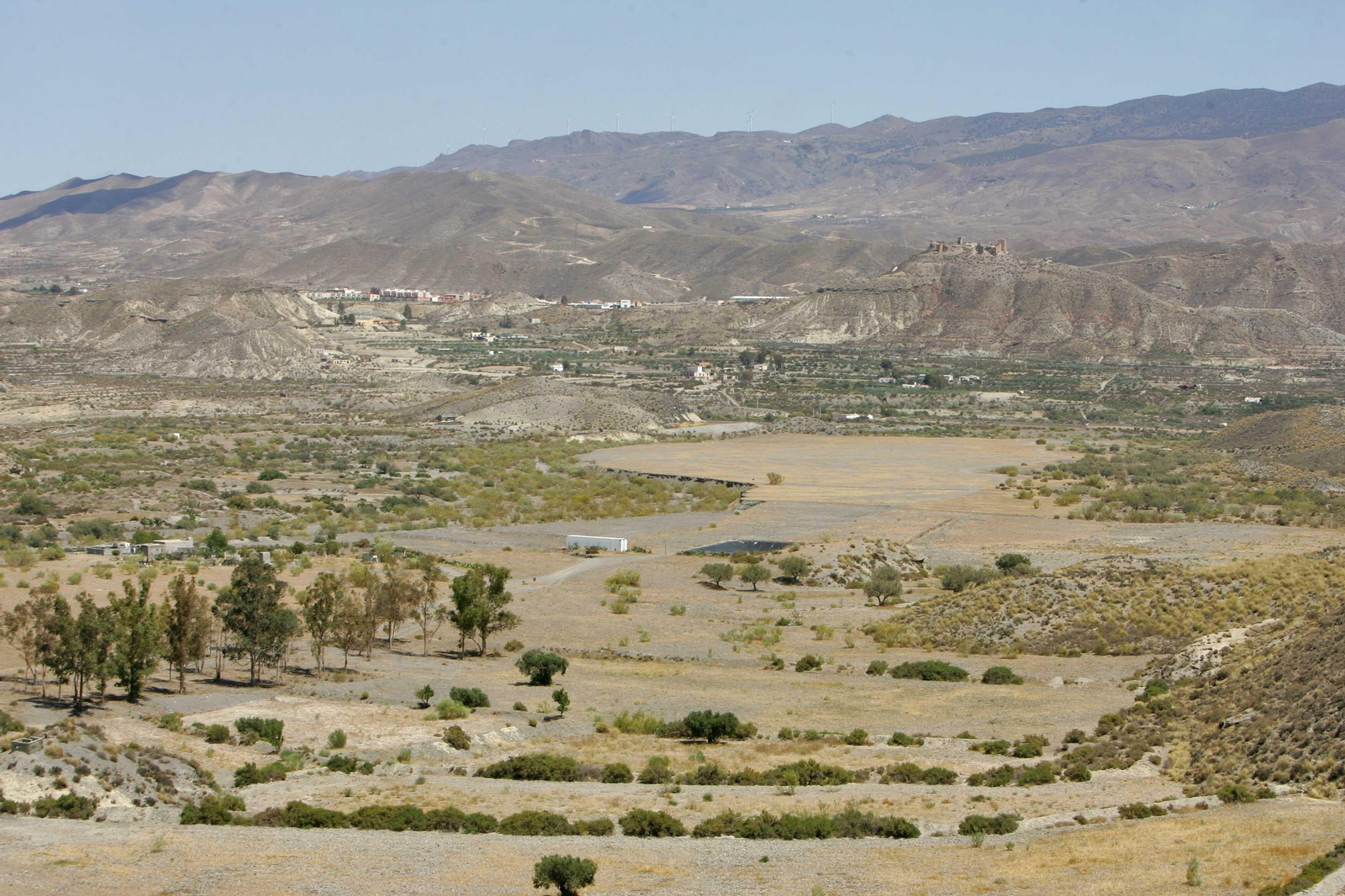 Hacia un campo de Tabernas empobrecido, uniforme y “alicatado” de placas