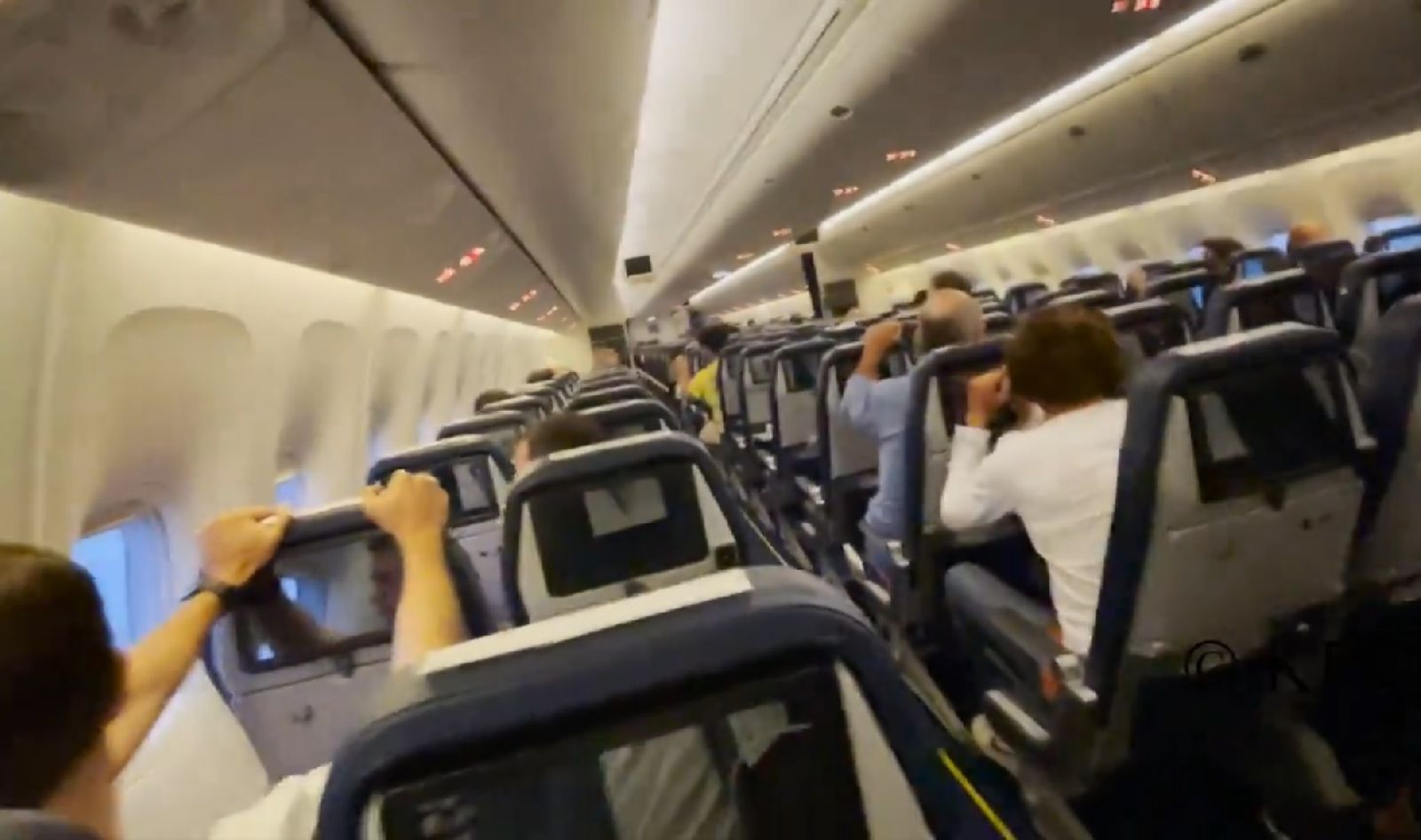 Interior del avión de la expedición cadista